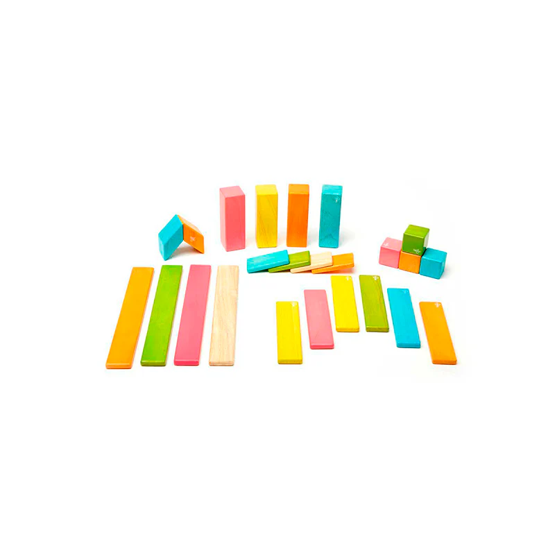 Tegu 24-Piece Set Magnetic Wooden Blocks Tegu Classics