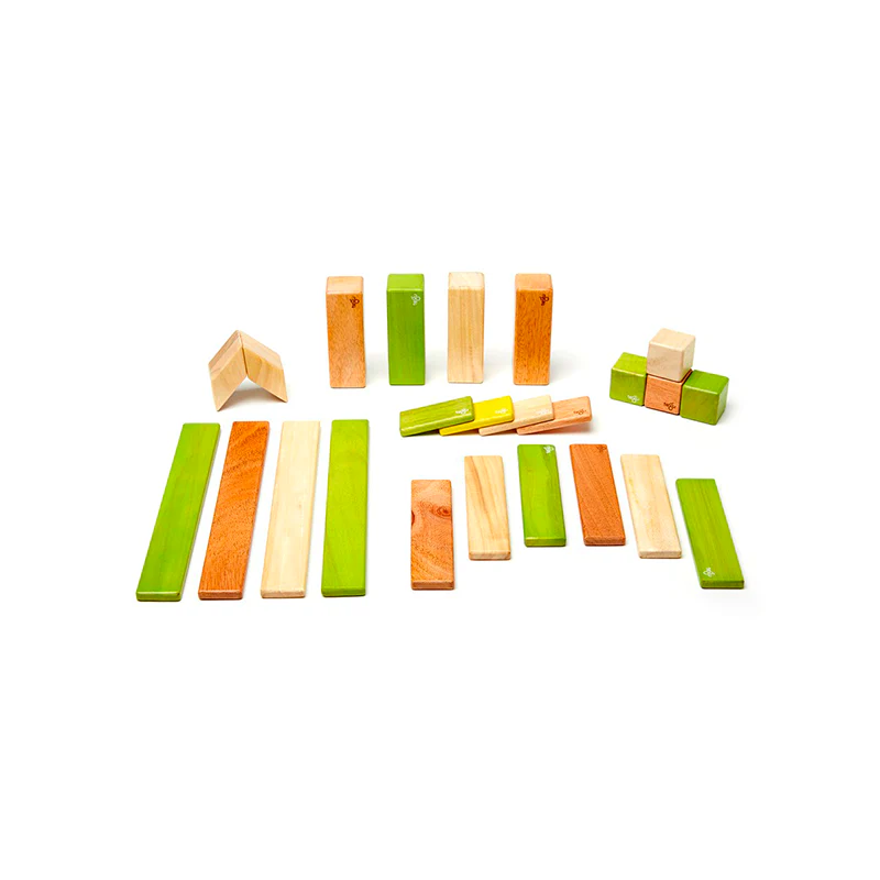 Tegu 24-Piece Set Magnetic Wooden Blocks Tegu Classics - Image 17