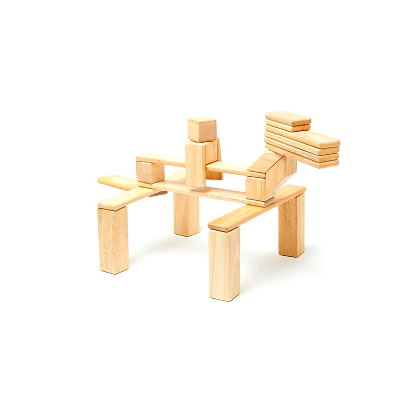 Tegu 24-Piece Set Magnetic Wooden Blocks Tegu Classics - Image 23
