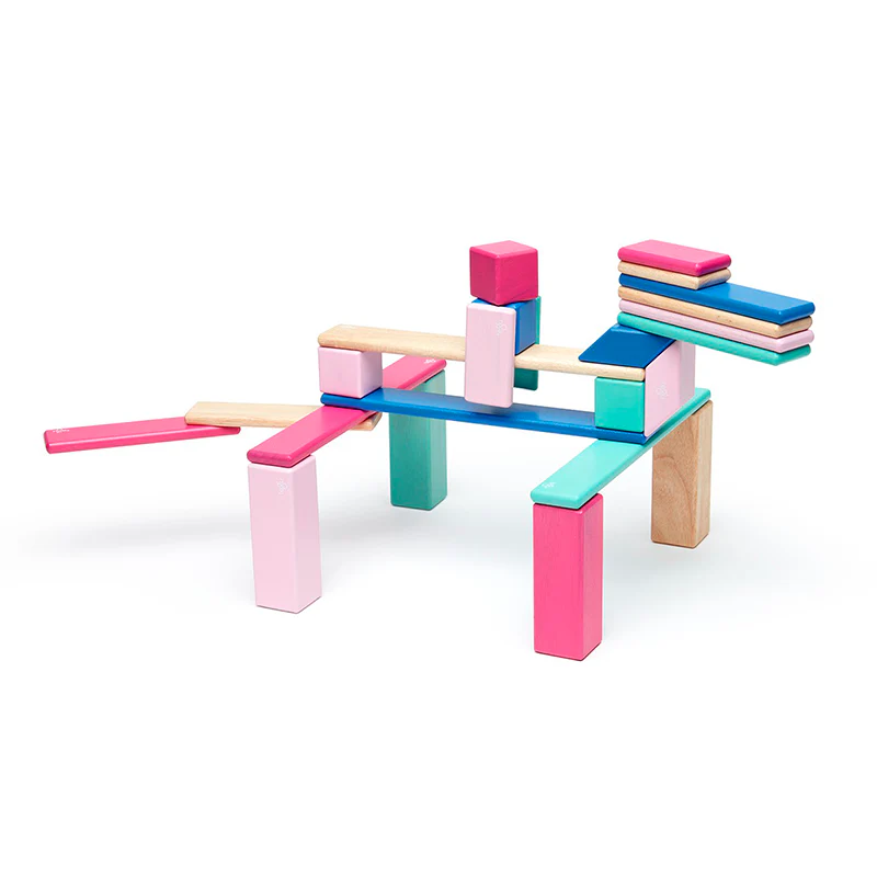 Tegu 24-Piece Set Magnetic Wooden Blocks Tegu Classics - Image 6