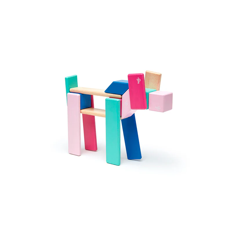 Tegu 24-Piece Set Magnetic Wooden Blocks Tegu Classics - Image 7