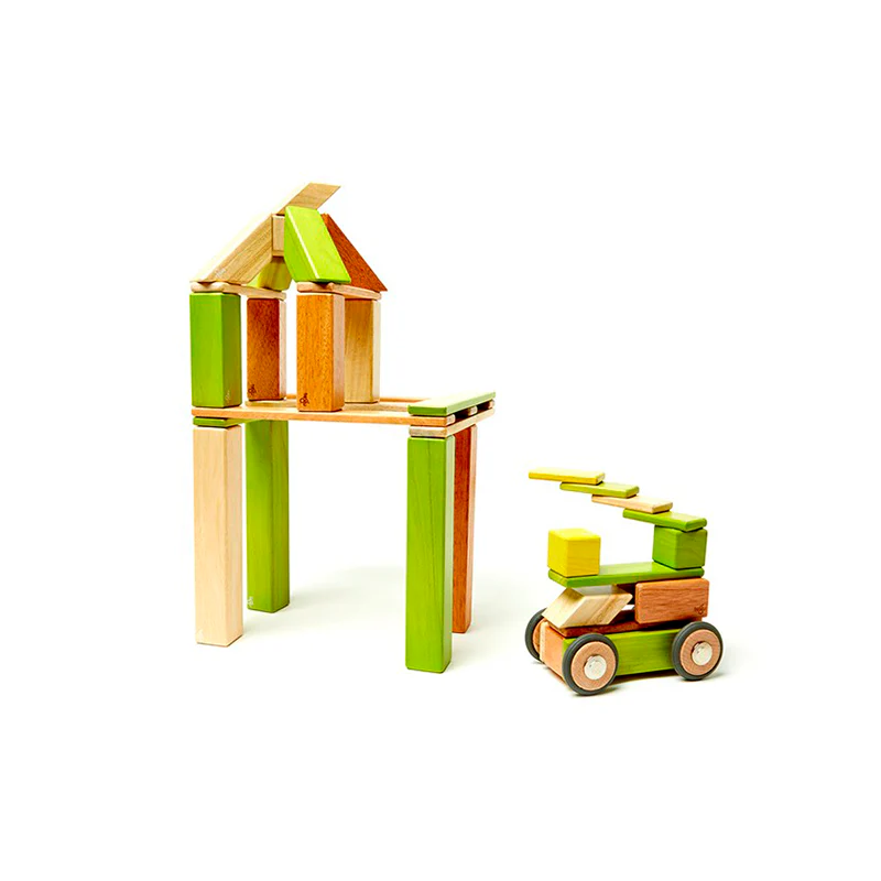 Tegu 42-Piece Set Magnetic Wooden Blocks Tegu Classics - Image 23