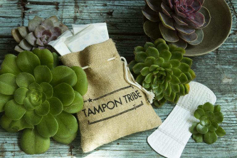 Tampon Tribe A Tube of Pantyliners - 24ct - Image 3