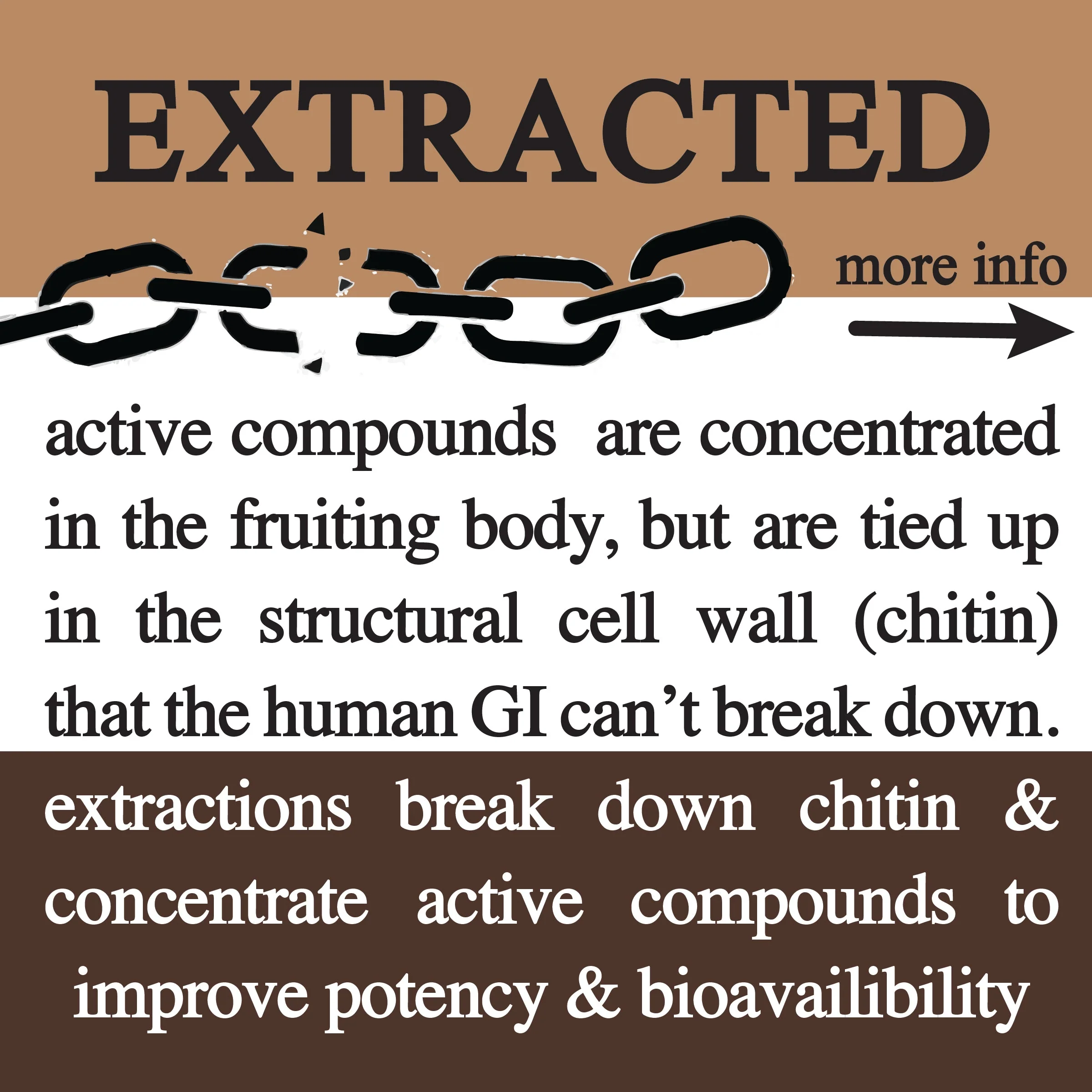 Roots Apothecary Adaptive Cacao Performance Superfood - Image 6