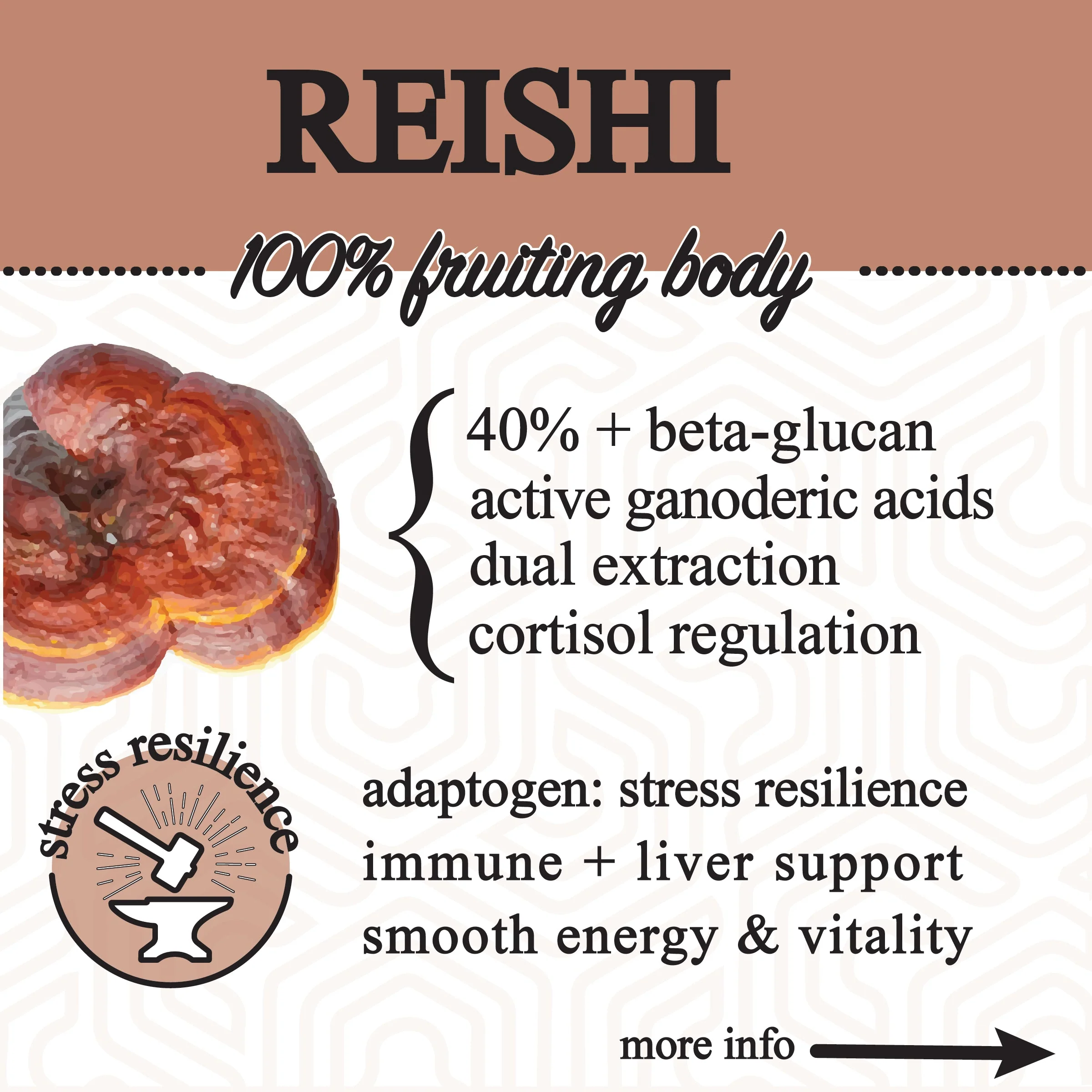 Roots Apothecary Adaptive Cacao Performance Superfood - Image 8