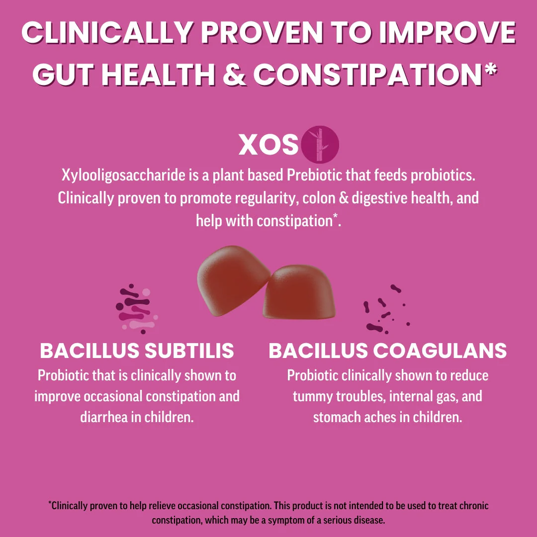 Llama Naturals Adults Organic Pre & Probiotic Gummies - Mixed Berry - Image 4