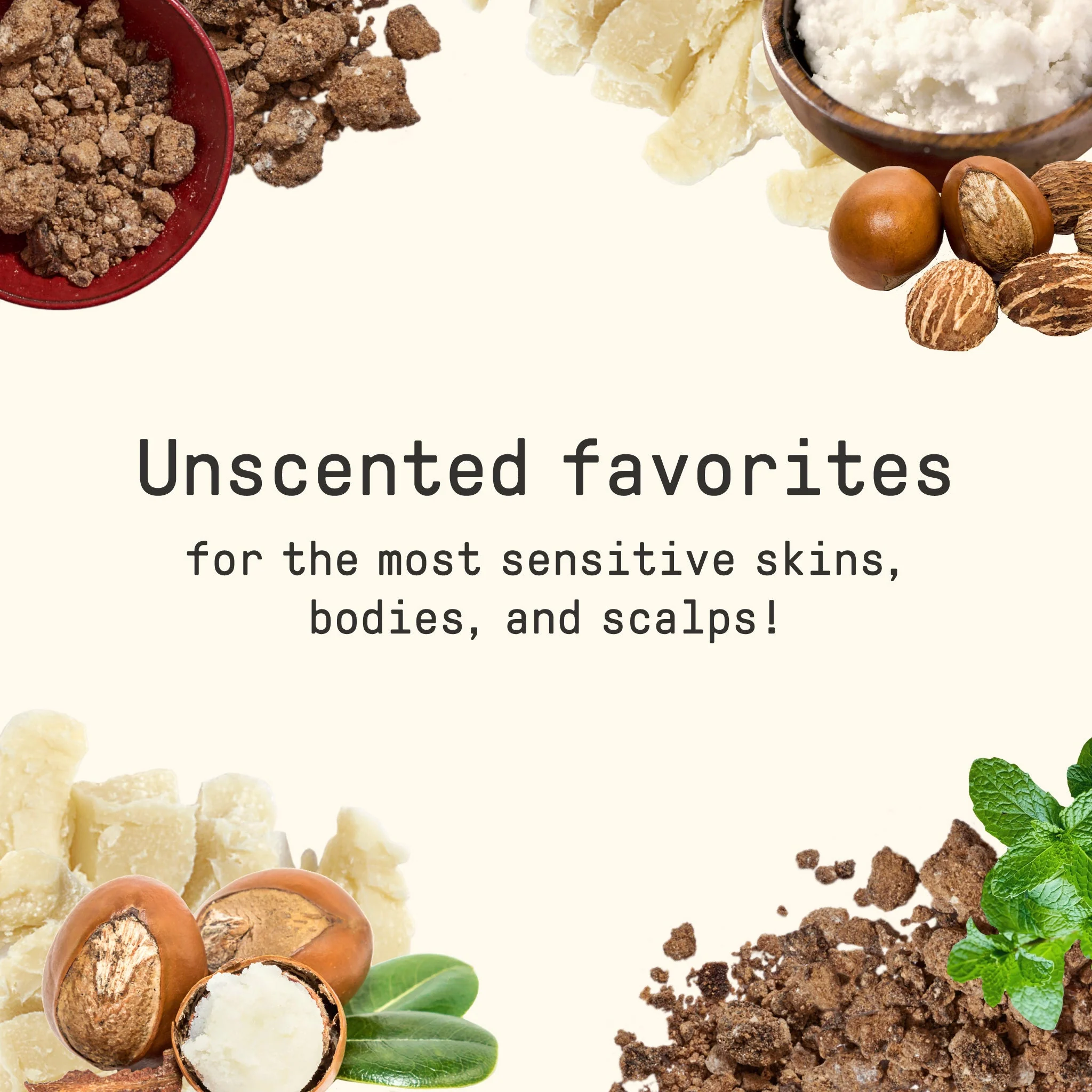 Alaffia Africa's Secret Multi-Use Balm - Unscented 2 oz - Image 4