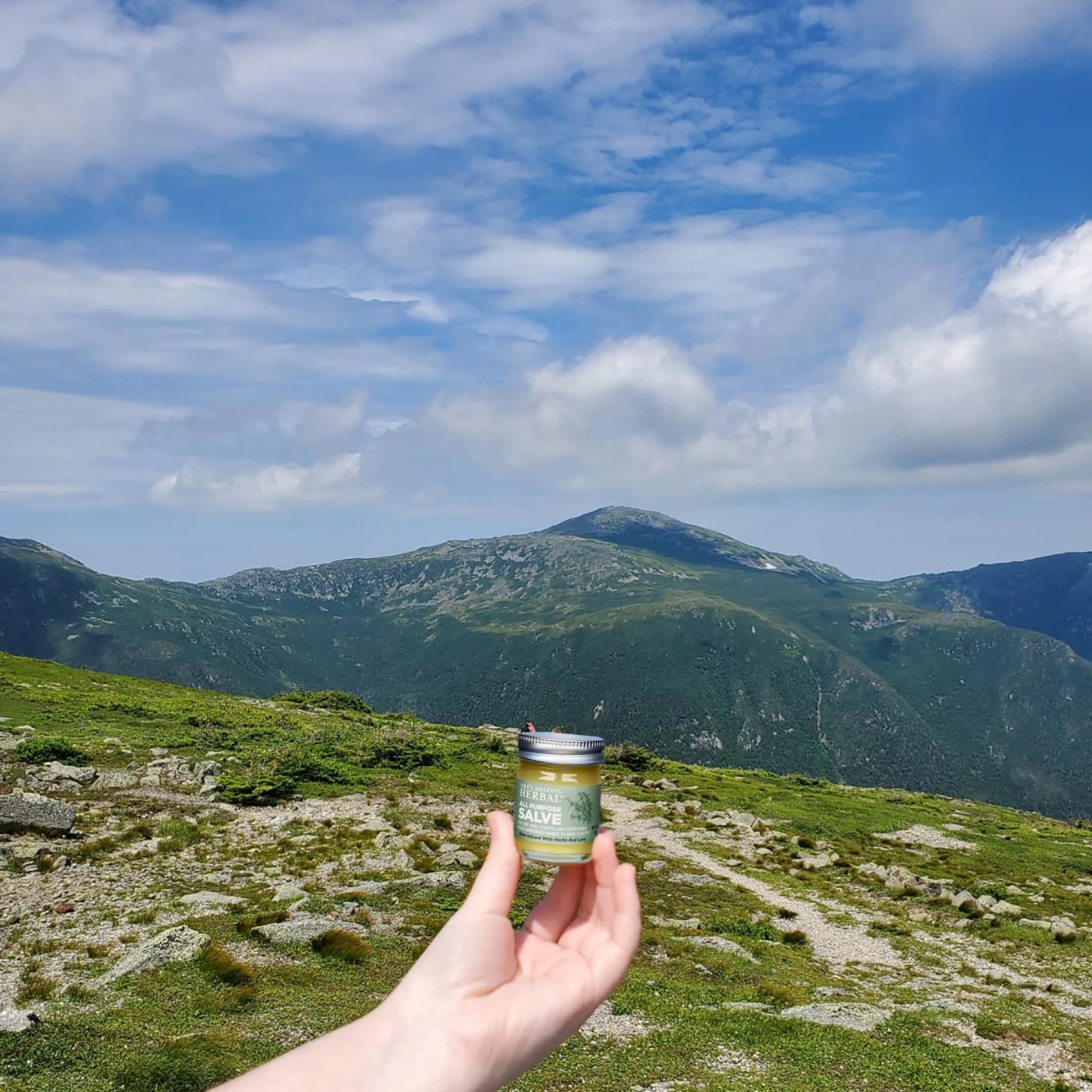 Ora's Amazing Herbal All Purpose Salve, Multipurpose Herbal Salve - Image 4