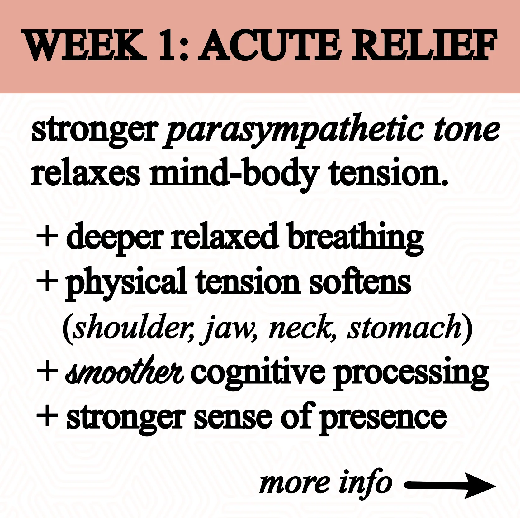 Roots Apothecary Anxiety Tincture - Image 5