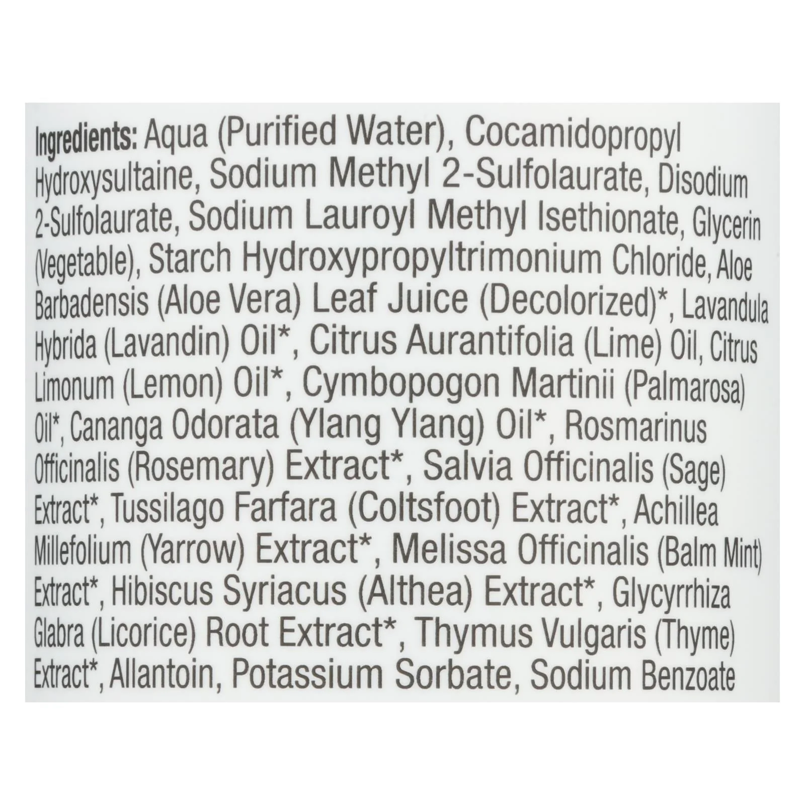 Beauty Without Cruelty Volume Plus Shampoo (16 Fl Oz) - Image 2