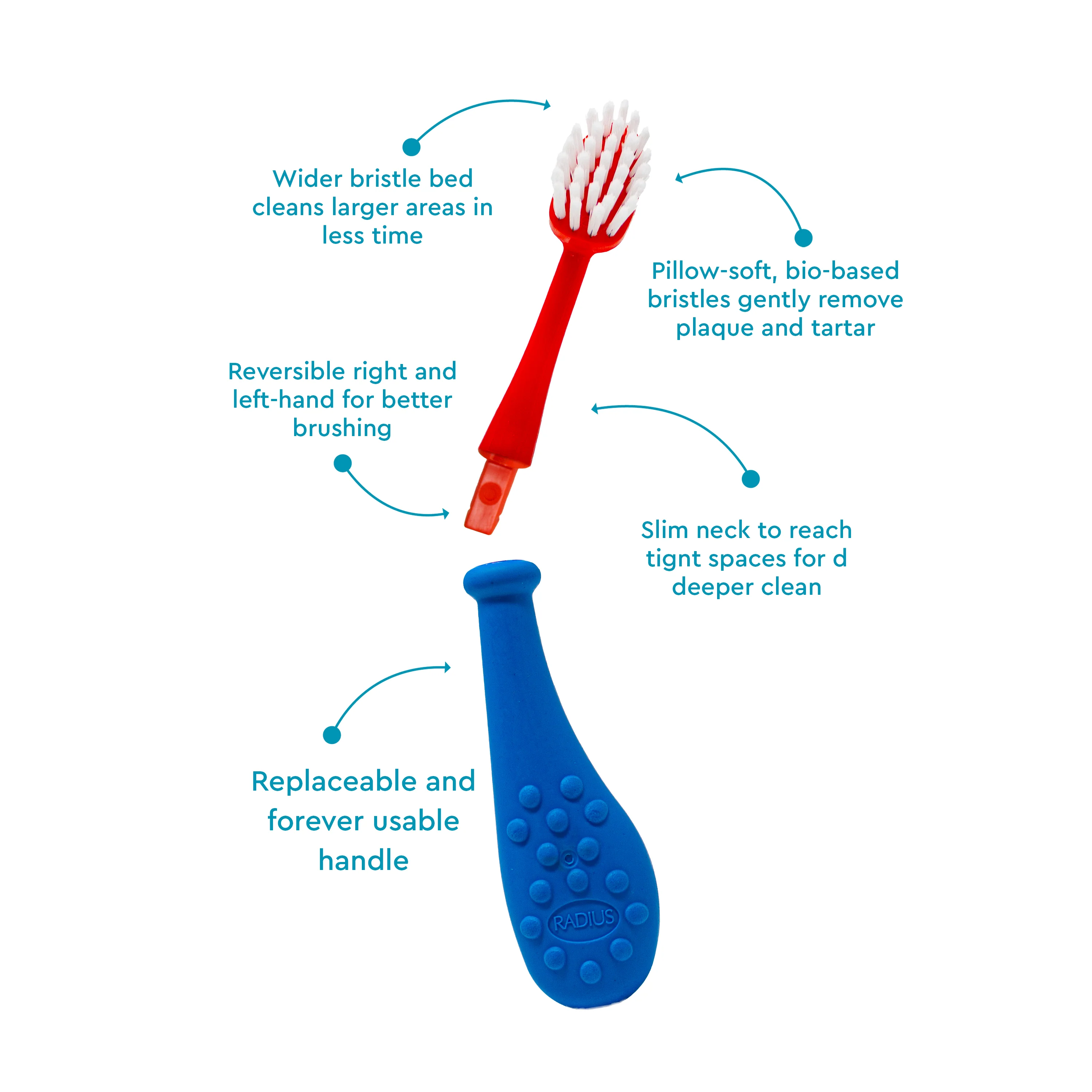 Radius Big Kidz® Replaceable Head Forever Brush® (6yrs+) - Image 19