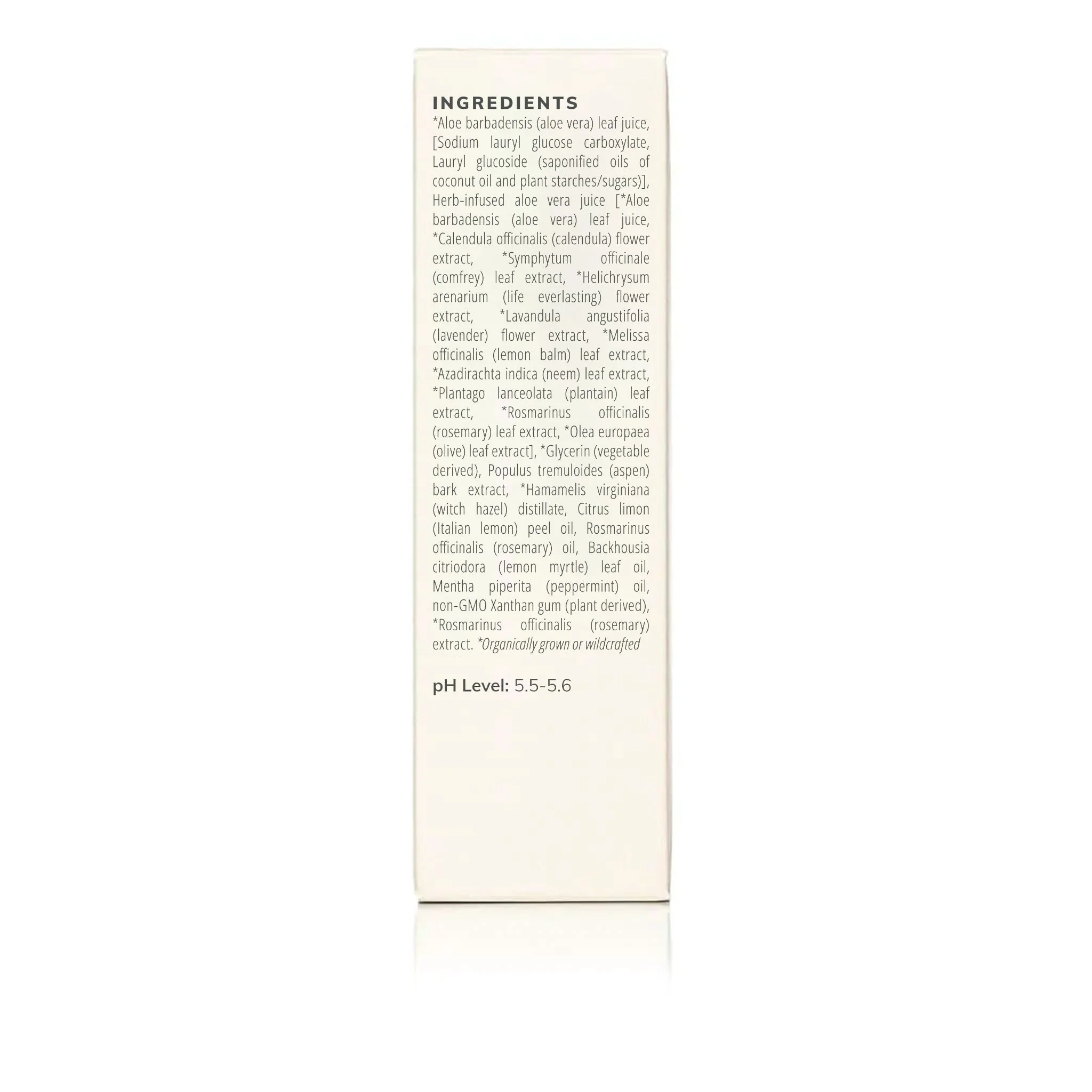 Annmarie Skin Care Citrus Mint Cleanser (100ml) - Image 6