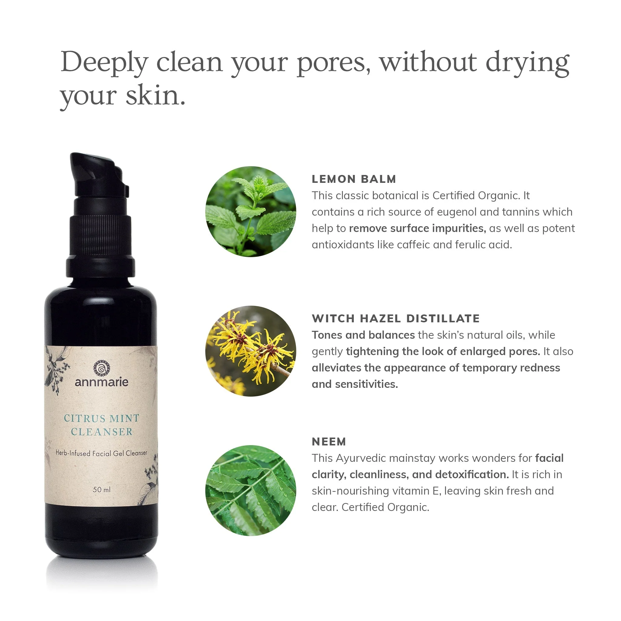 Annmarie Skin Care Citrus Mint Cleanser (50ml) - Image 2