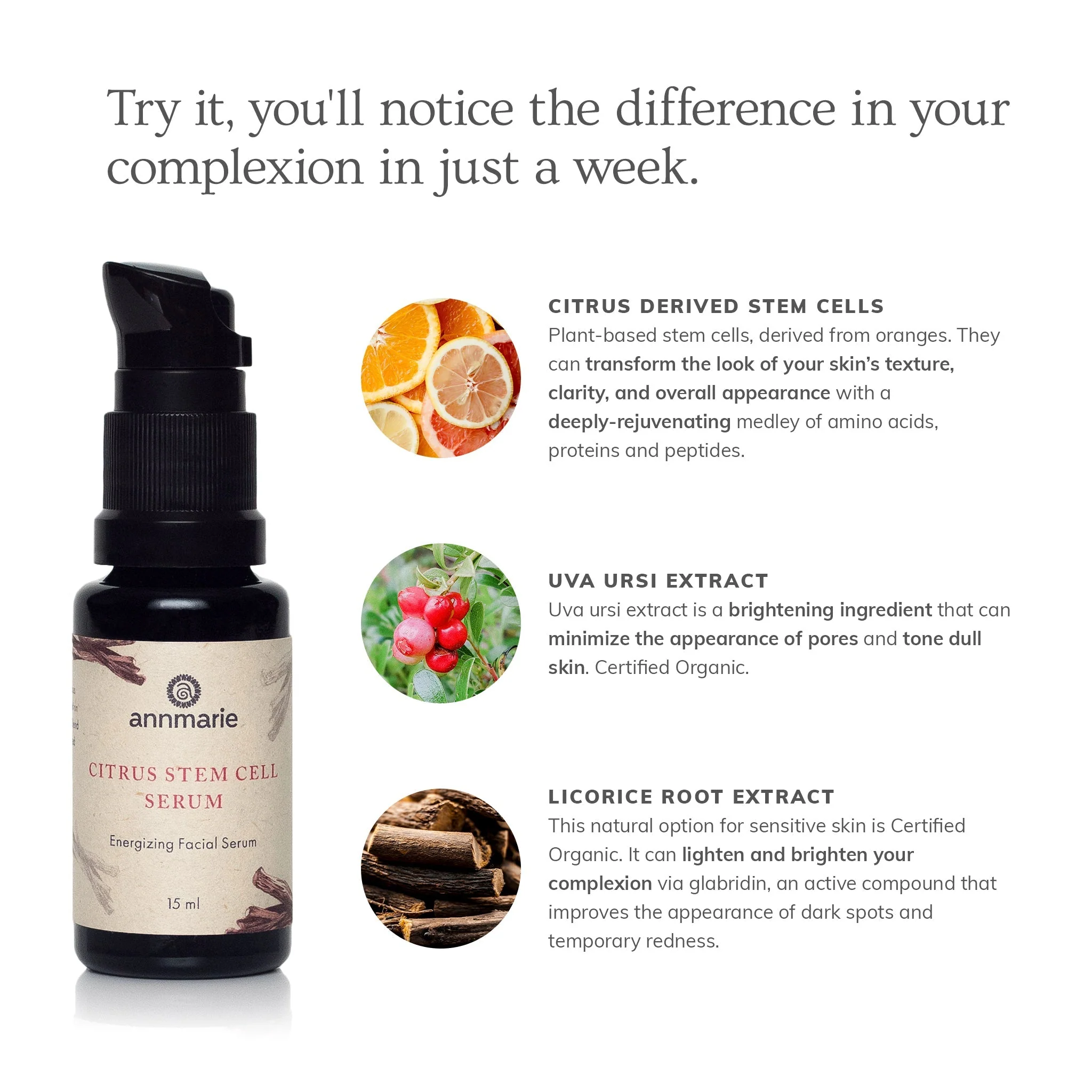 Annmarie Skin Care Citrus Stem Cell Serum (15ml) - Image 2
