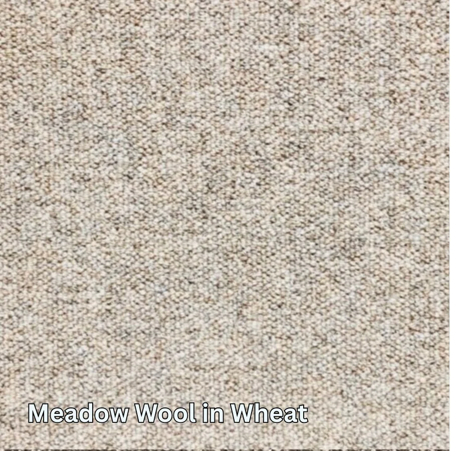 Clean Carpet & Rugs - Non-Toxic Wool Area Rugs - Meadow Wool