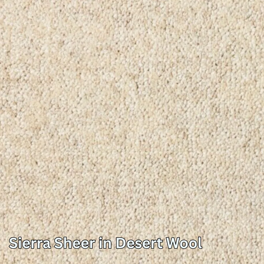 Clean Carpet & Rugs - Non-Toxic Wool Area Rugs - Sierra Sheer - Image 9