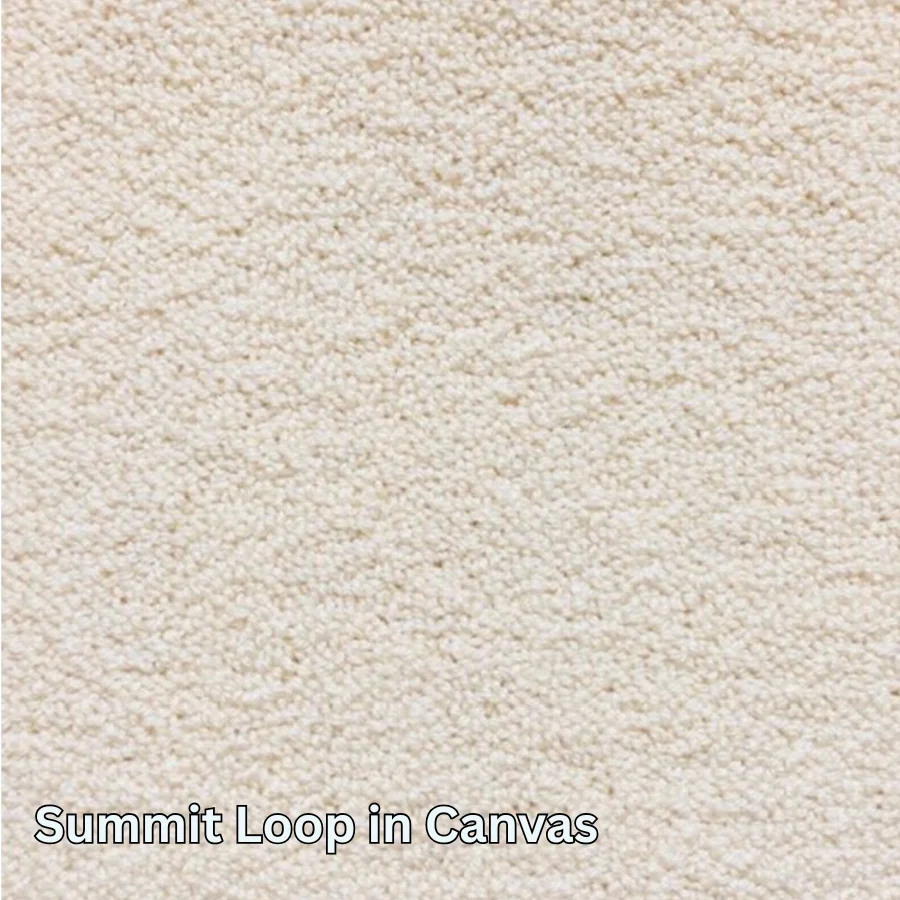 Clean Carpet & Rugs - Non-Toxic Wool Area Rugs - Summit Loop - Image 10