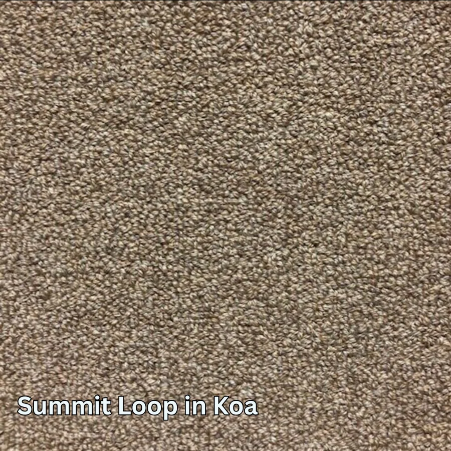 Clean Carpet & Rugs - Non-Toxic Wool Area Rugs - Summit Loop - Image 11