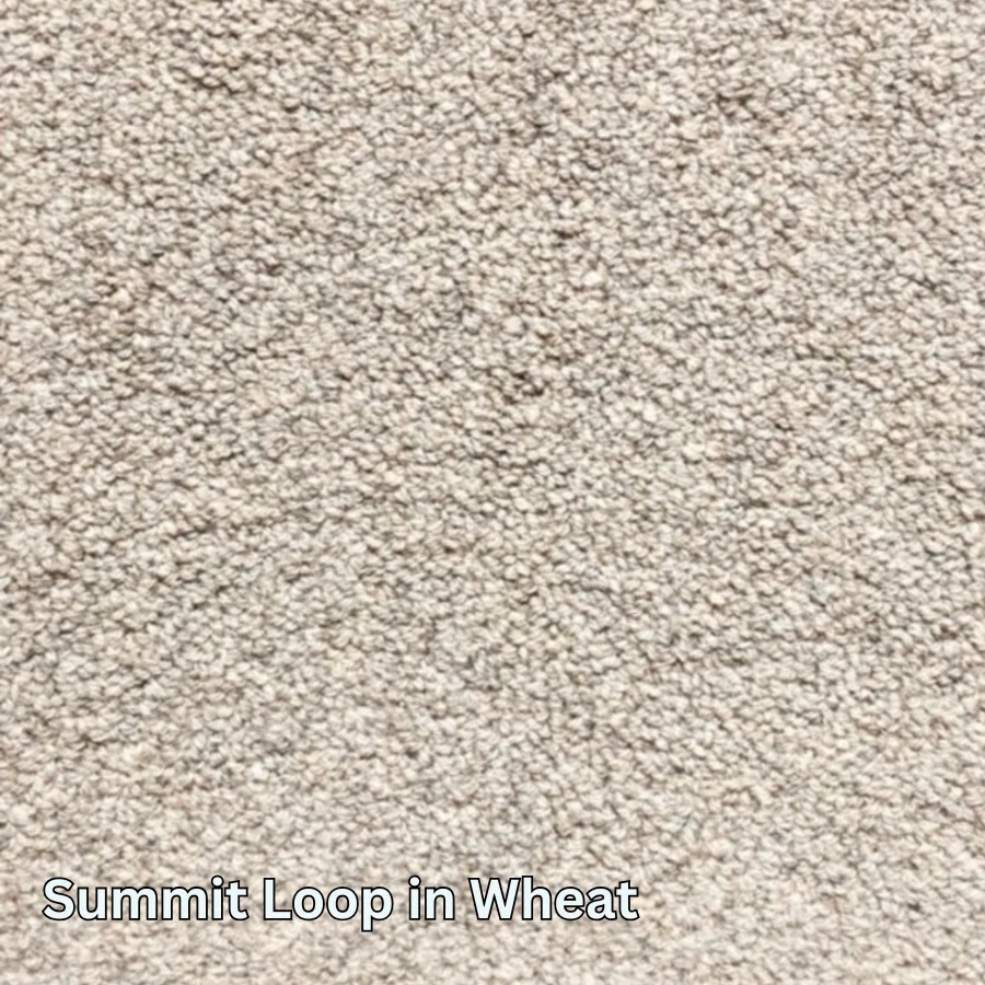 Clean Carpet & Rugs - Non-Toxic Wool Area Rugs - Summit Loop - Image 7