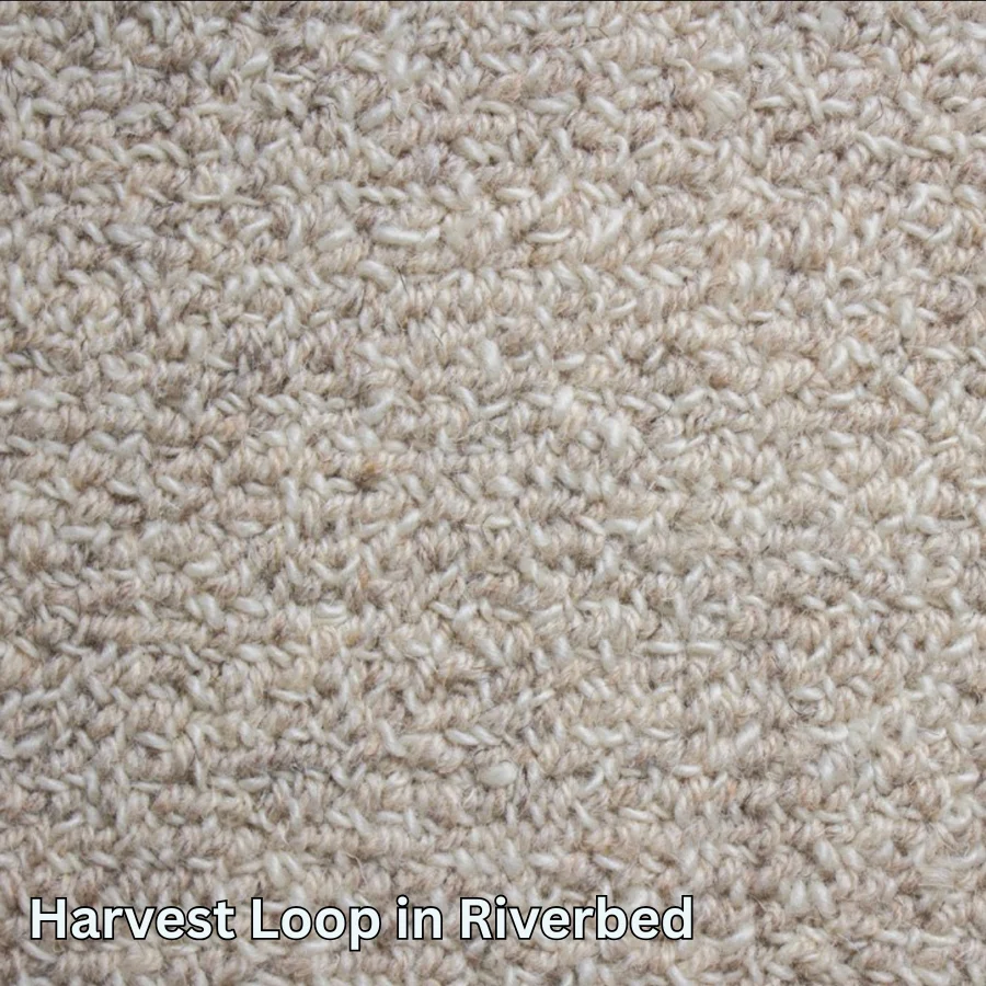 Clean Carpet & Rugs - Non-Toxic Wool Area Rugs - Harvest Loop - Image 3