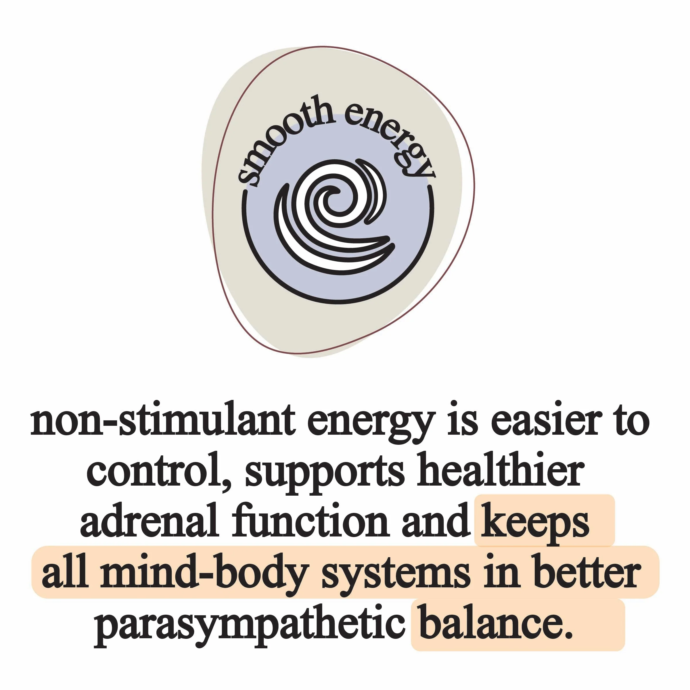 Roots Apothecary Elemental Mushroom Blend - Image 3
