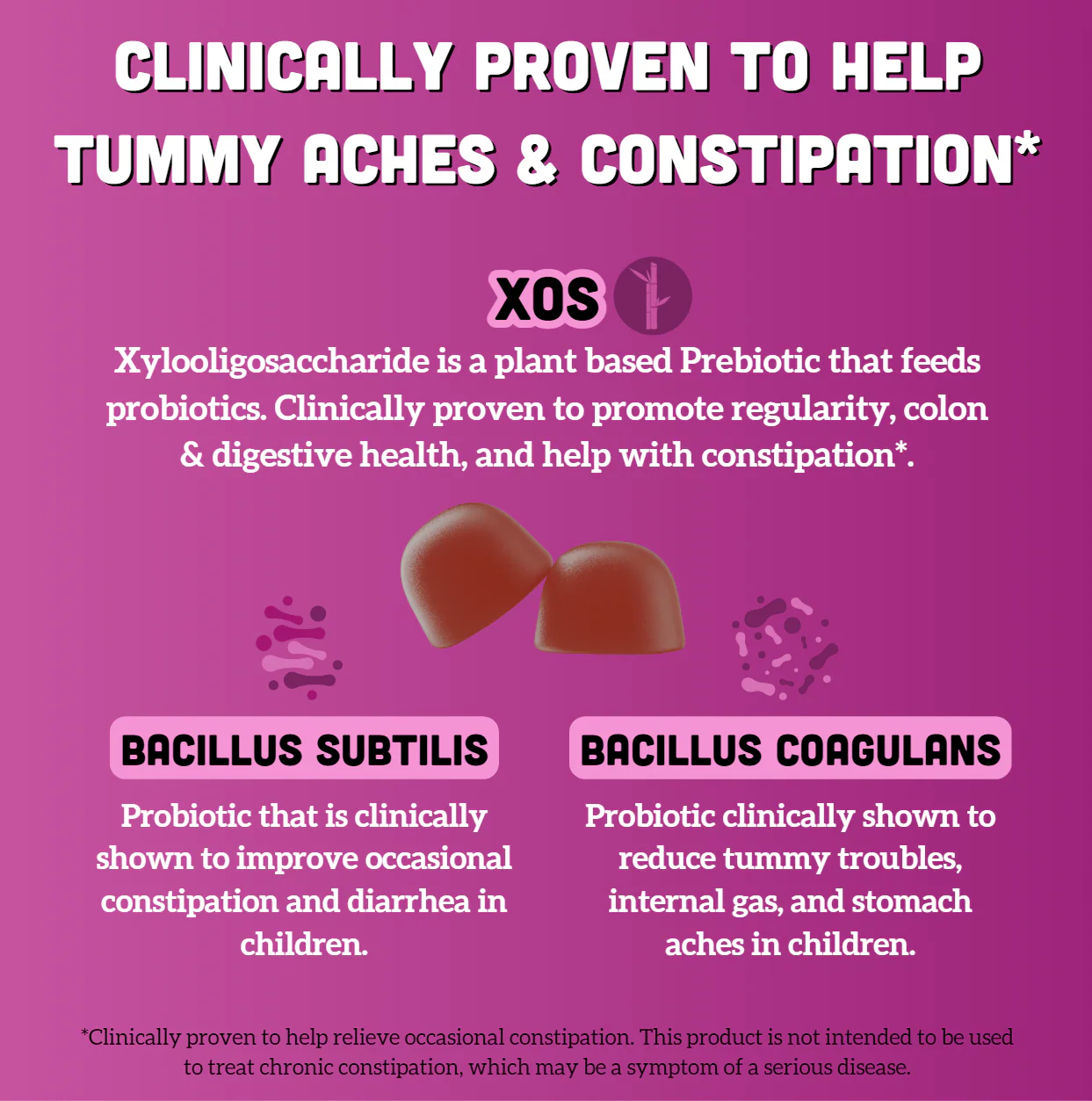 Llama Naturals Family Gut Support Bundle – Kids + Adult Pre & Probiotic Gummies – Mixed Berry - Image 6
