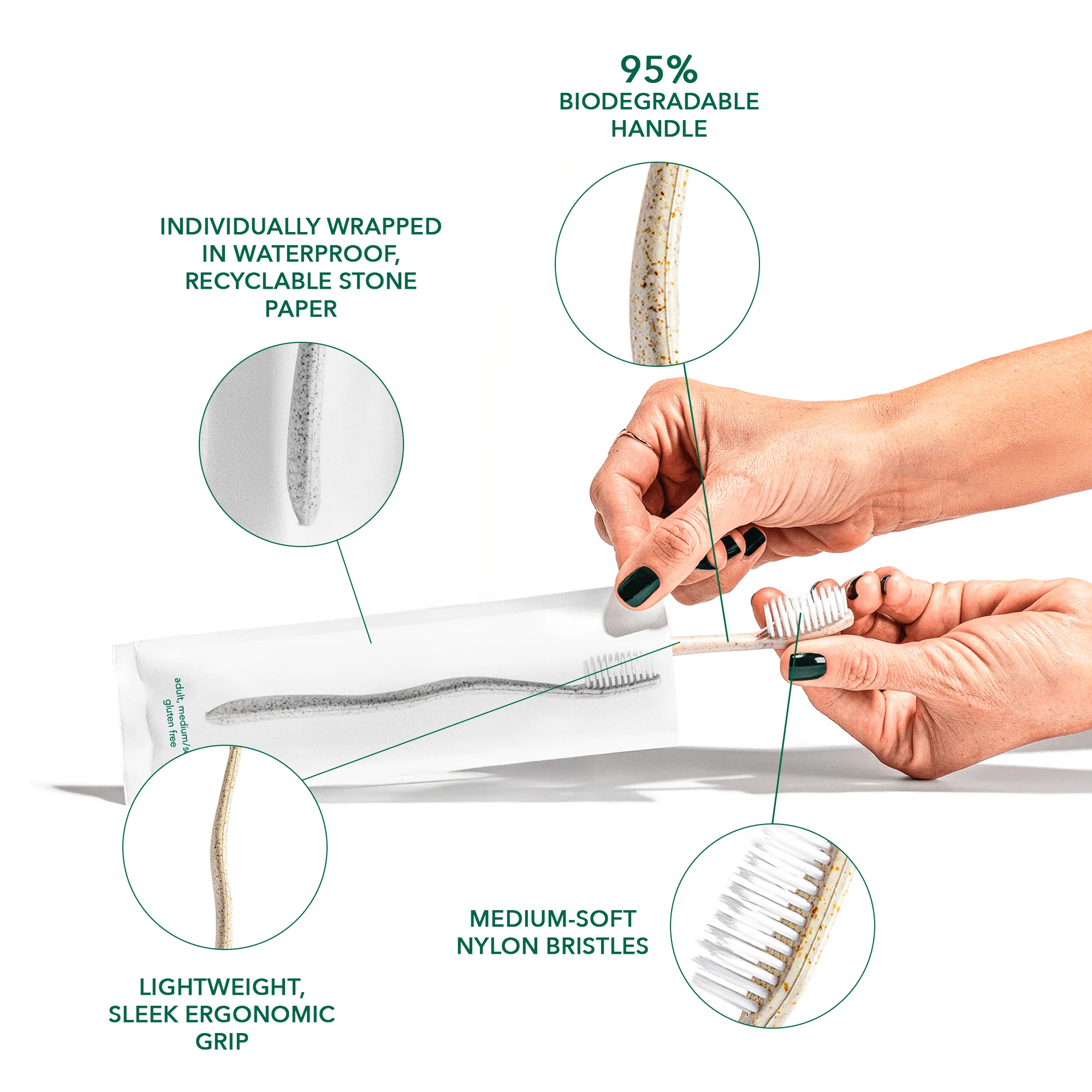 Terra & Co. Gentle Green Toothbrush Family Pack (10 Count) – Eco-Friendly Wheat Straw Toothbrushes for Sensitive Teeth | BPA-Free, Travel-Friendly, Plastic-Free - Image 4
