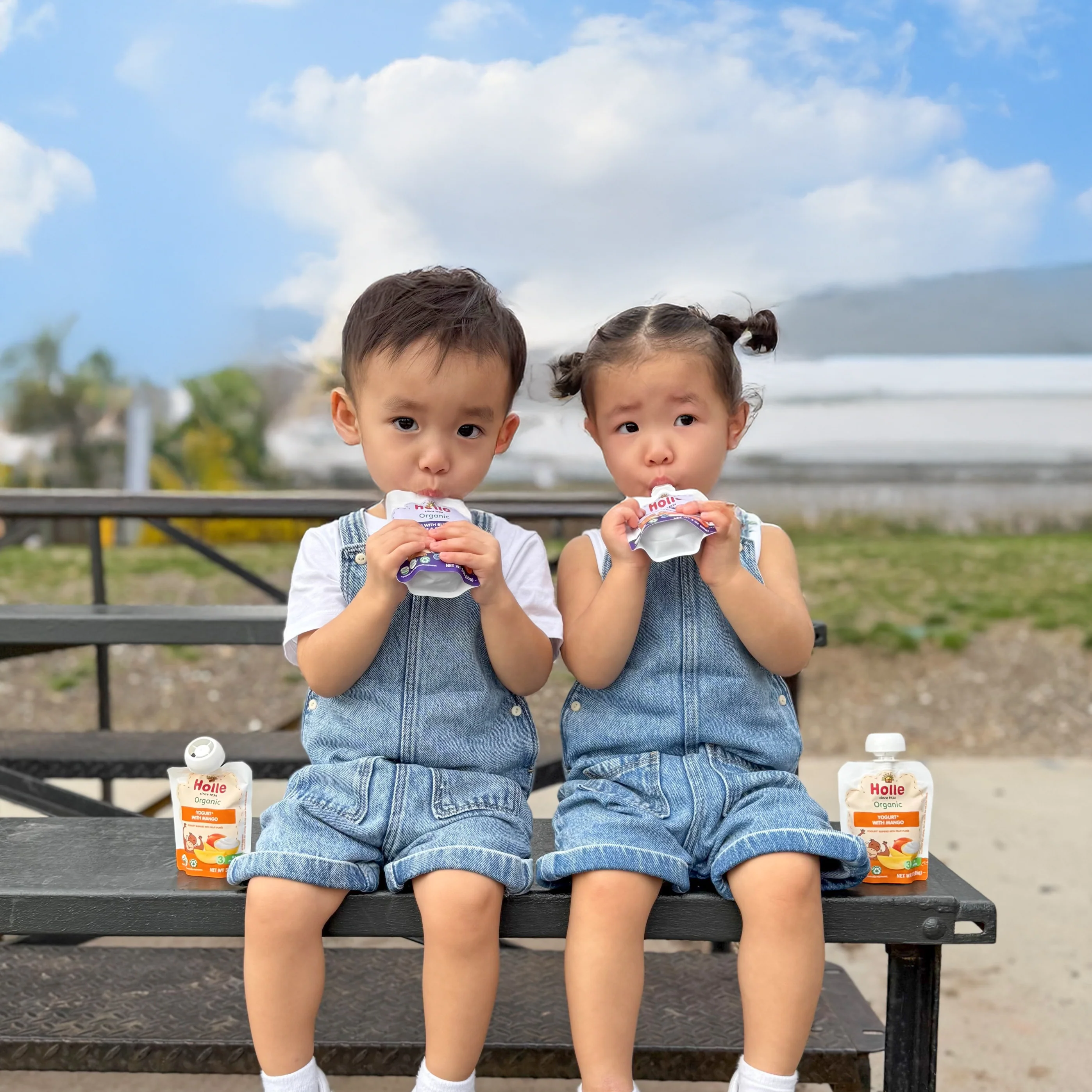 Holle Organic Yogurt Pouches - Mango - Image 2
