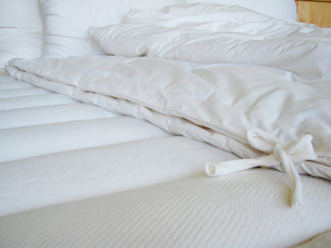 Holy Lamb Organics All Season Comforter - Image 2