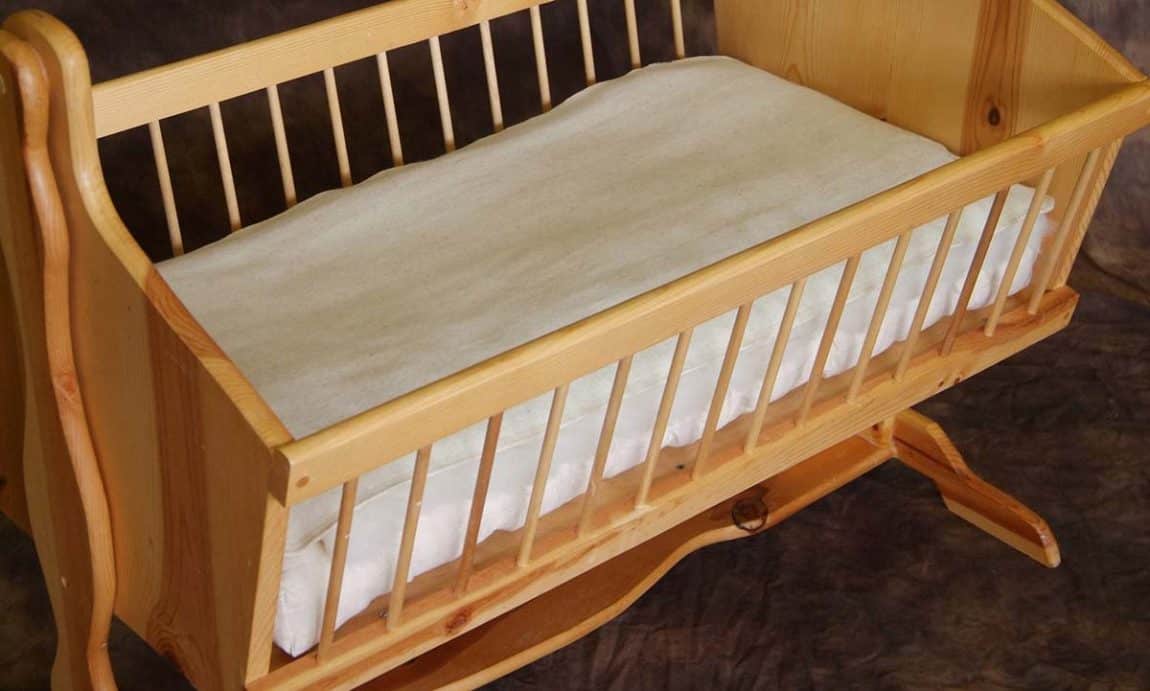 Holy Lamb Organics Wool Puddle Pads