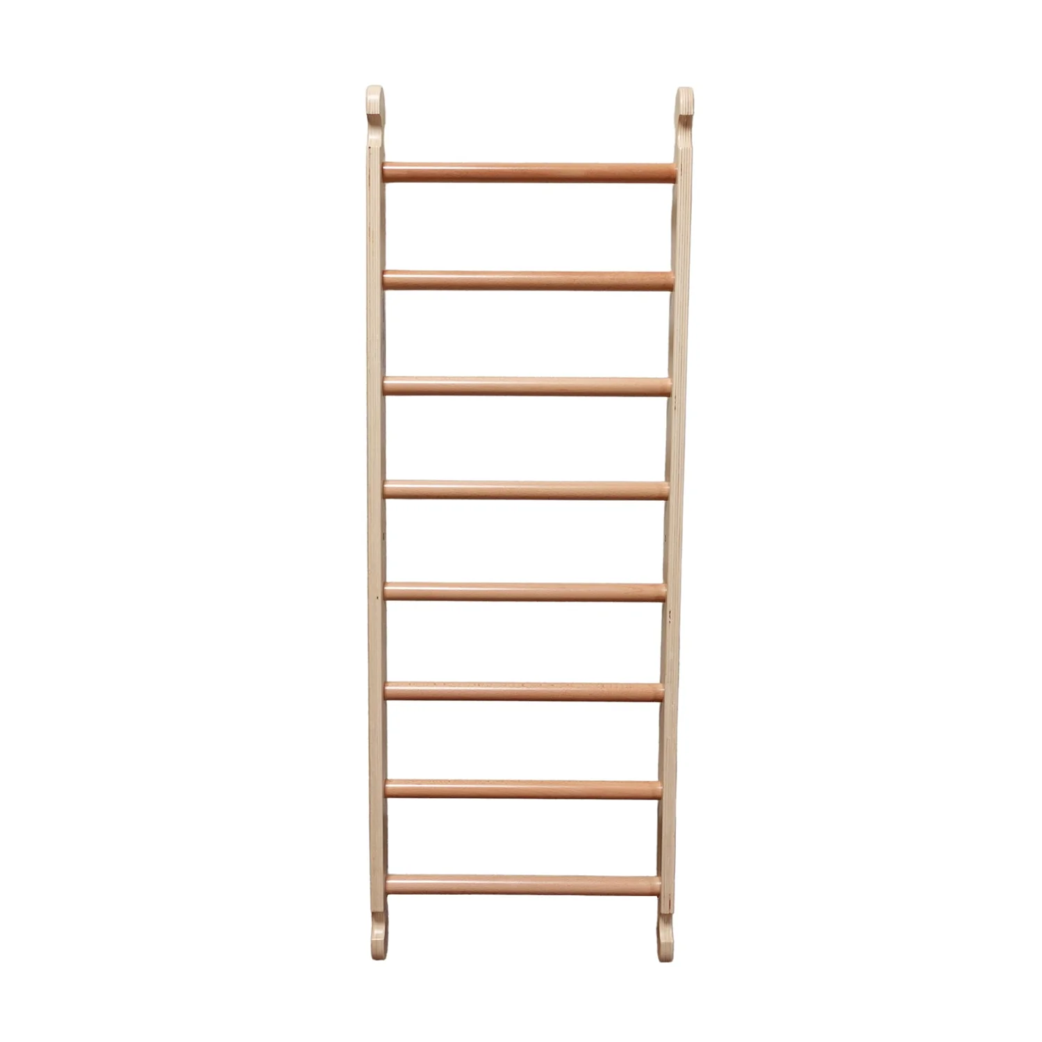 Little Partners Climbing Ladder