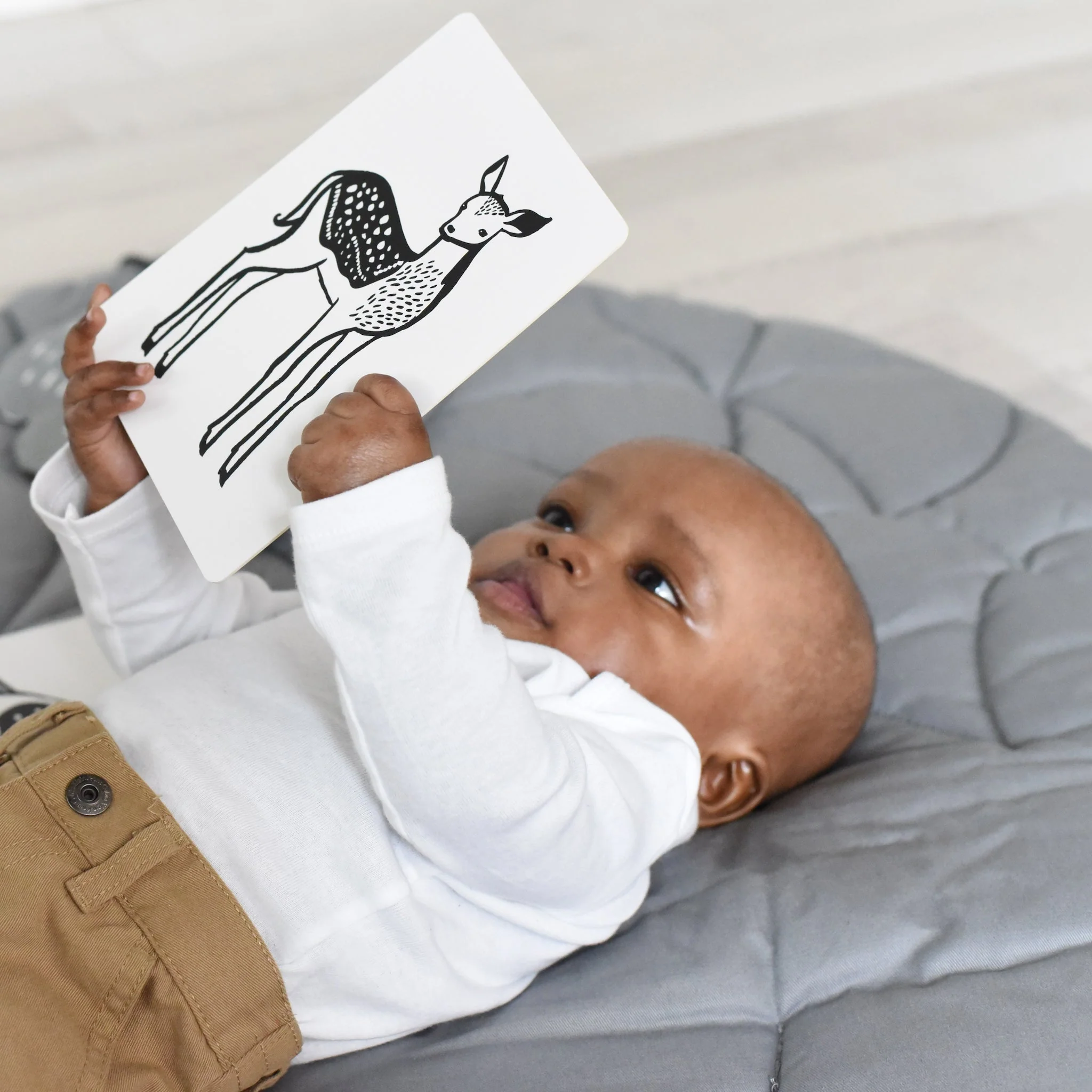 Wee Gallery Newborn Baby Gift Set - Baby Animals - Image 7