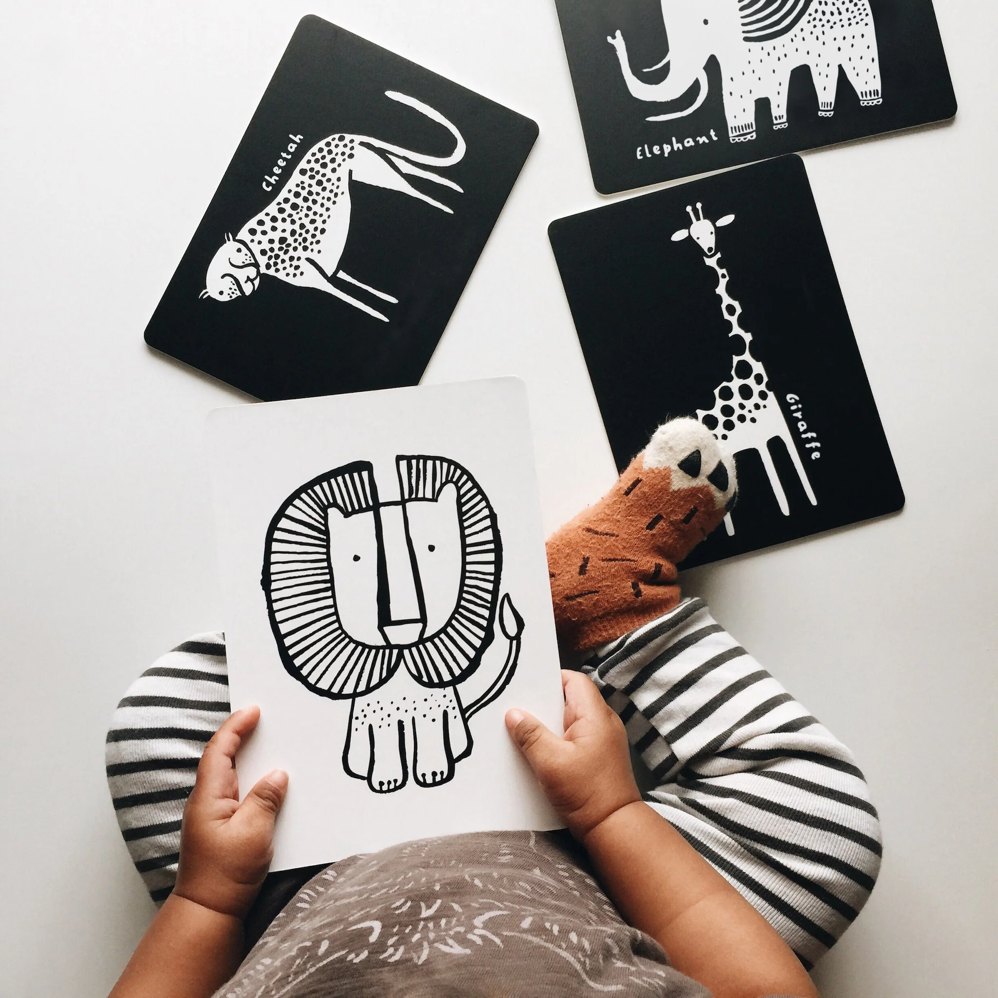 Wee Gallery Newborn Baby Gift Set - Safari - Image 7
