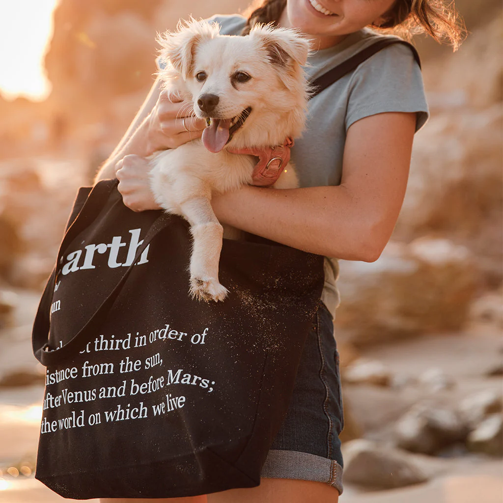 Terra Thread® Organic Cotton Canvas Tote Bag - Avani Tote - Image 33