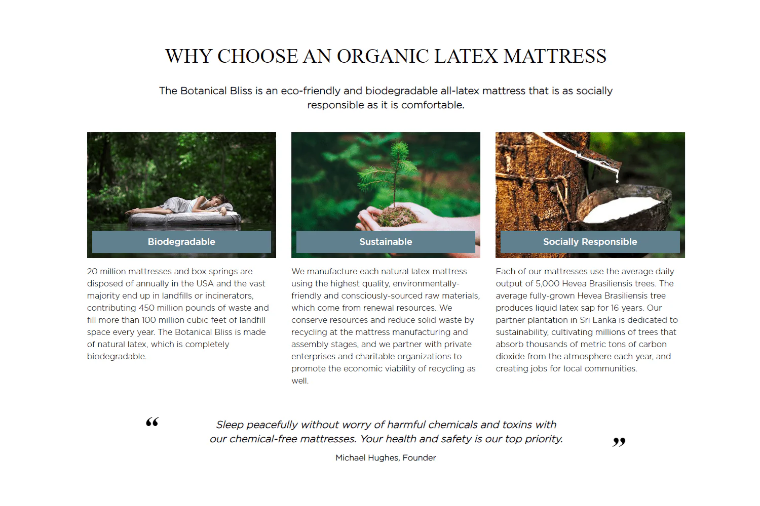 Plush Beds Organic Latex Mattress - The Botanical Bliss - Image 7