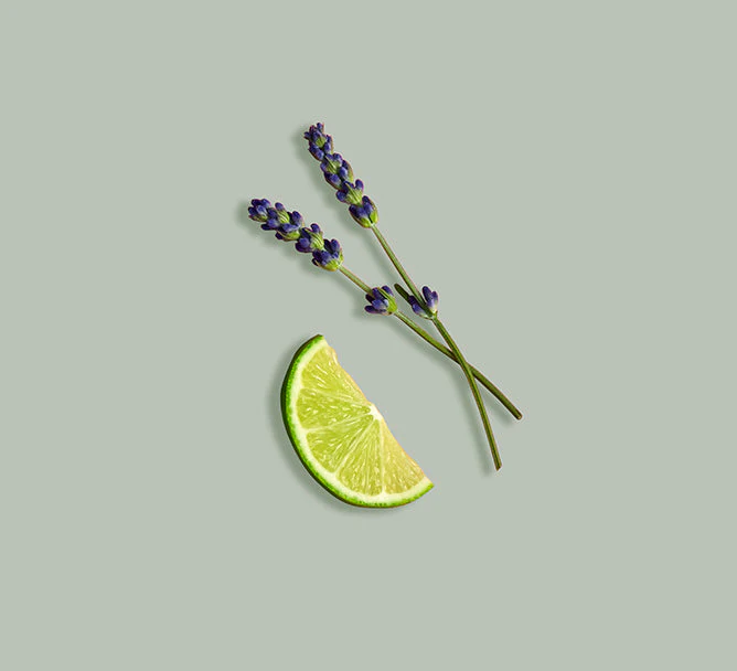Humble Organics Organic Lavender Lime Body Butter – Restore & Refresh - Image 5