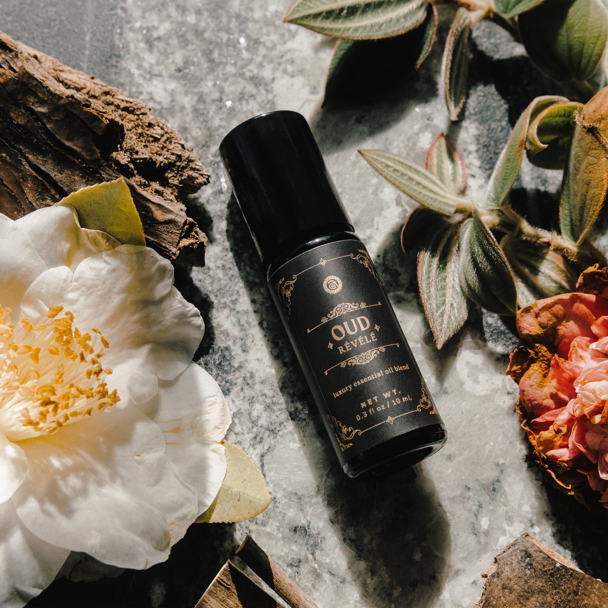 Annmarie Skin Care Oud Révélé (10ml) - Image 7