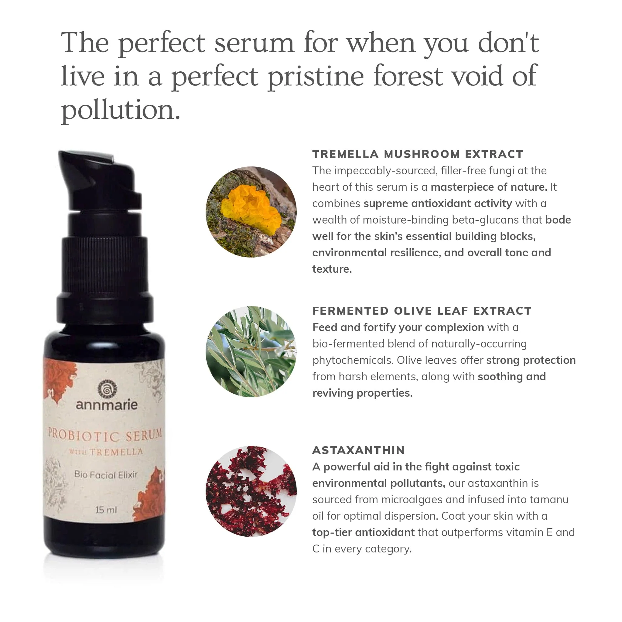 Annmarie Skin Care Probiotic Serum With Tremella - Bio Facial Elixir (15ml) - Image 2