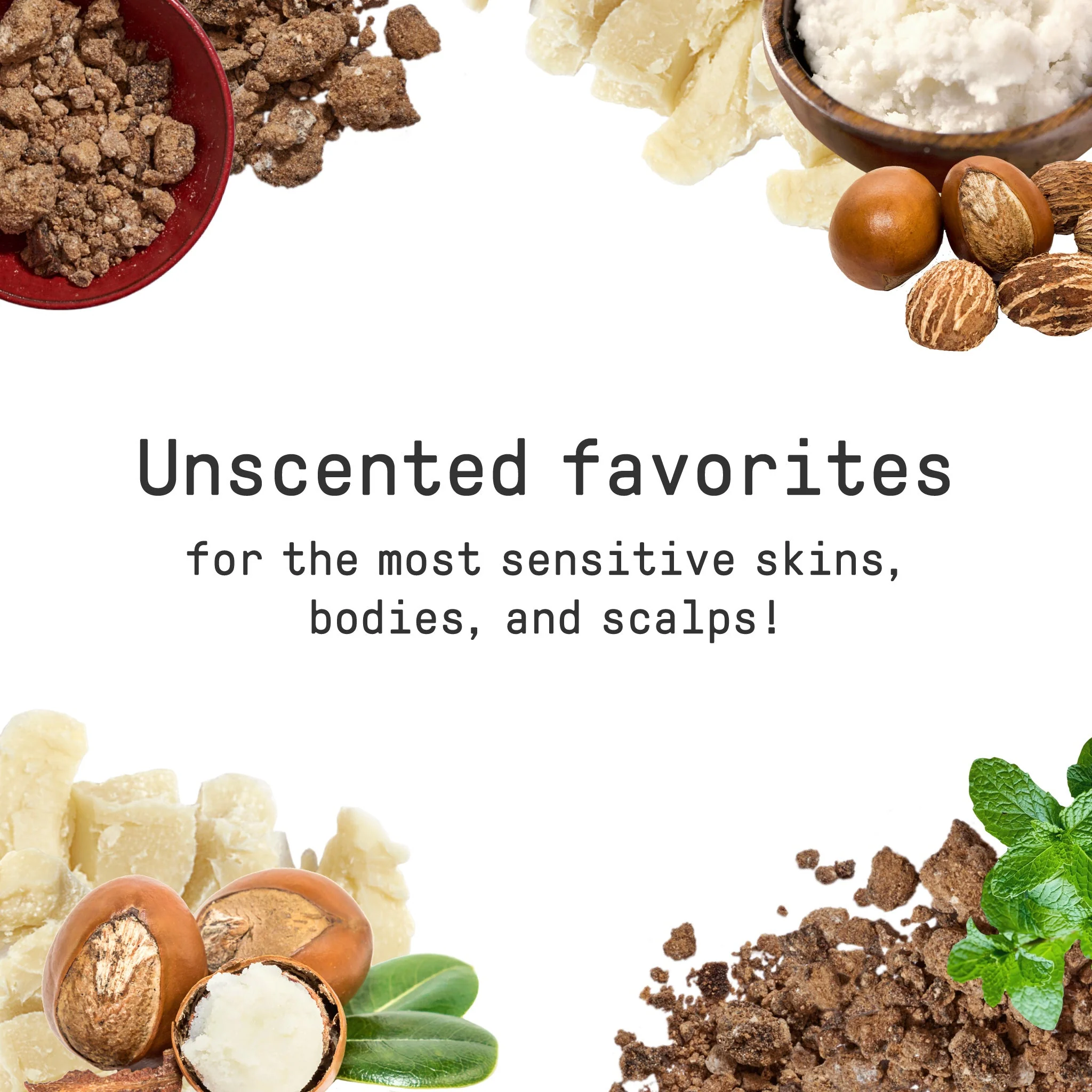Alaffia Pure Unrefined Shea Butter - Unscented - Image 4