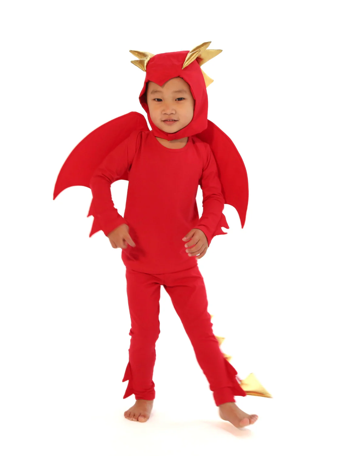 Band of the Wild Red Dragon Costume - Image 2