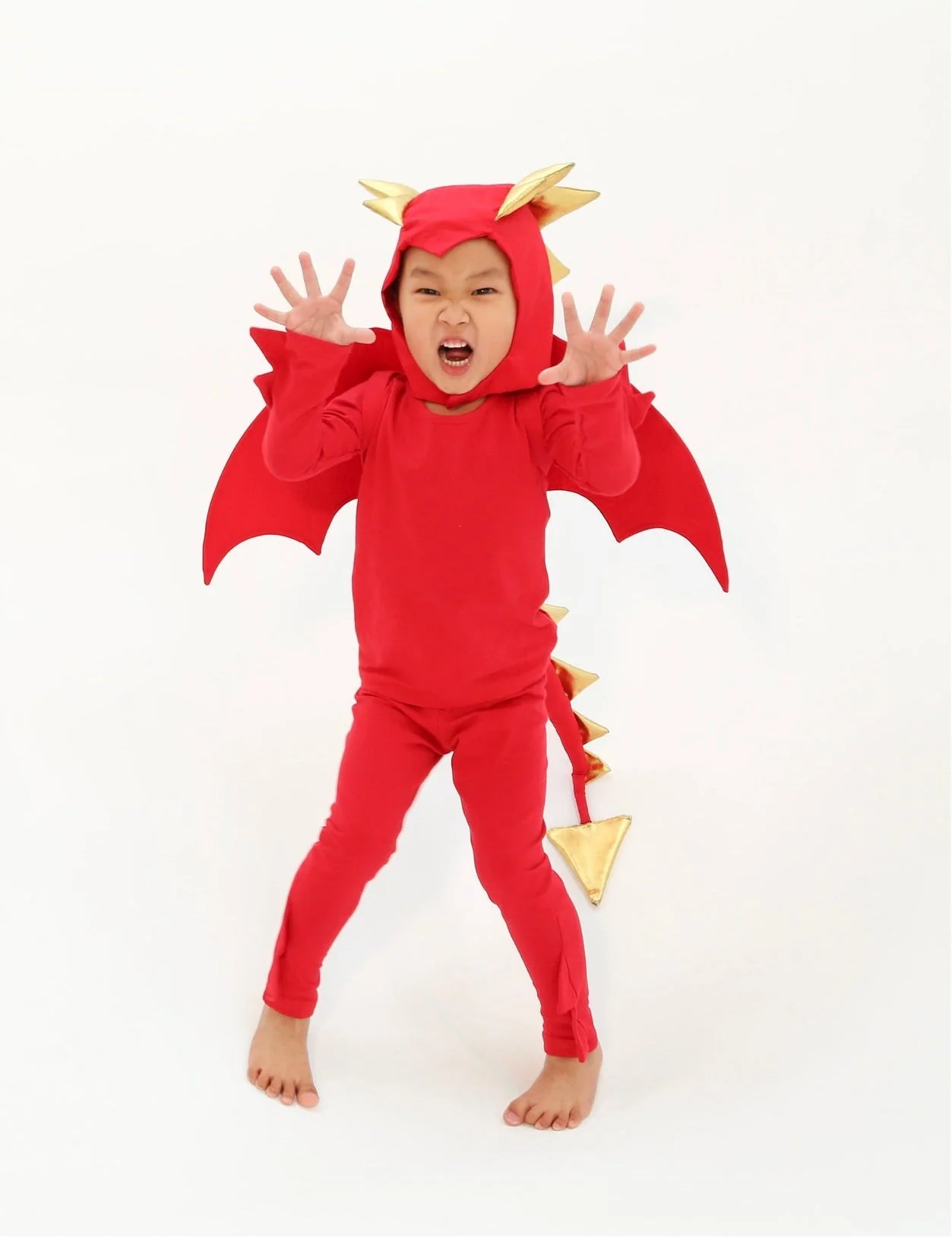 Band of the Wild Red Dragon Costume - Image 4