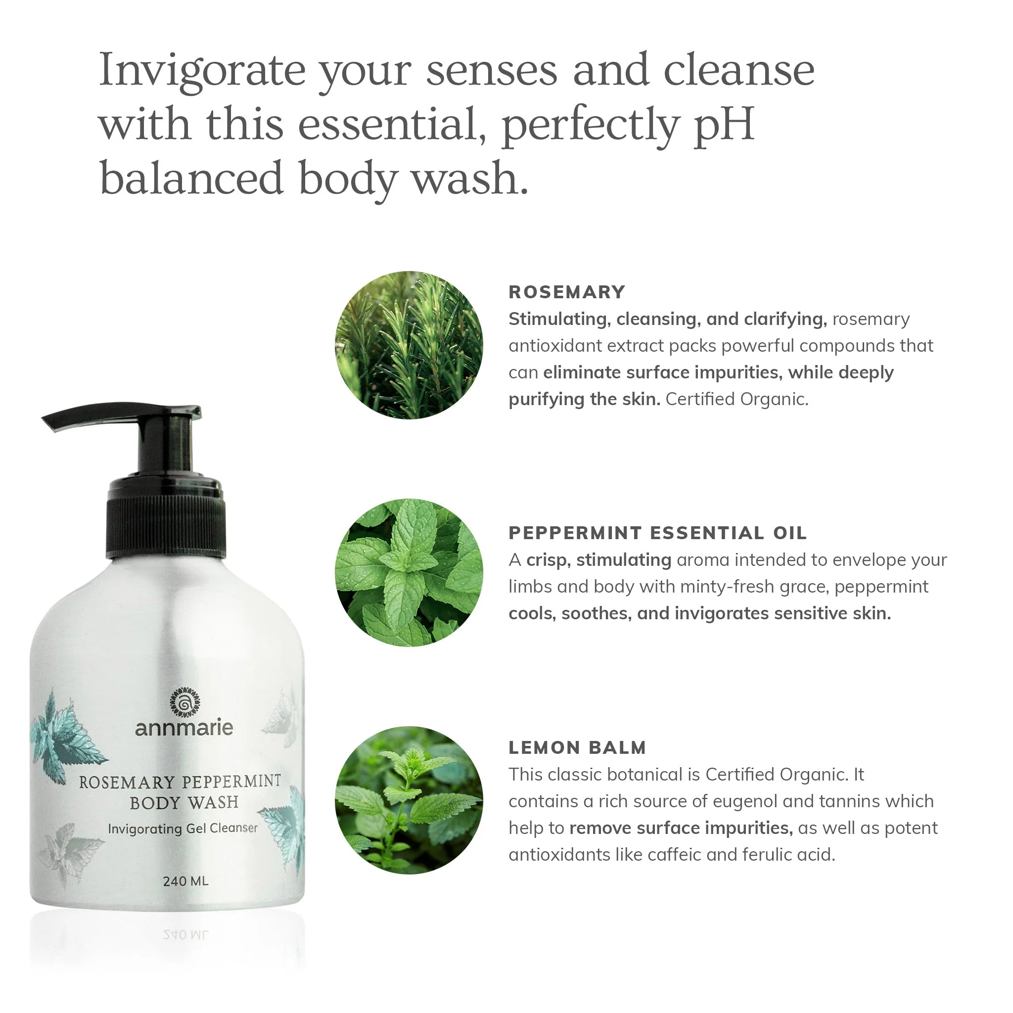 Annmarie Skin Care Rosemary Peppermint Hand & Body Wash (240ml) - Image 2