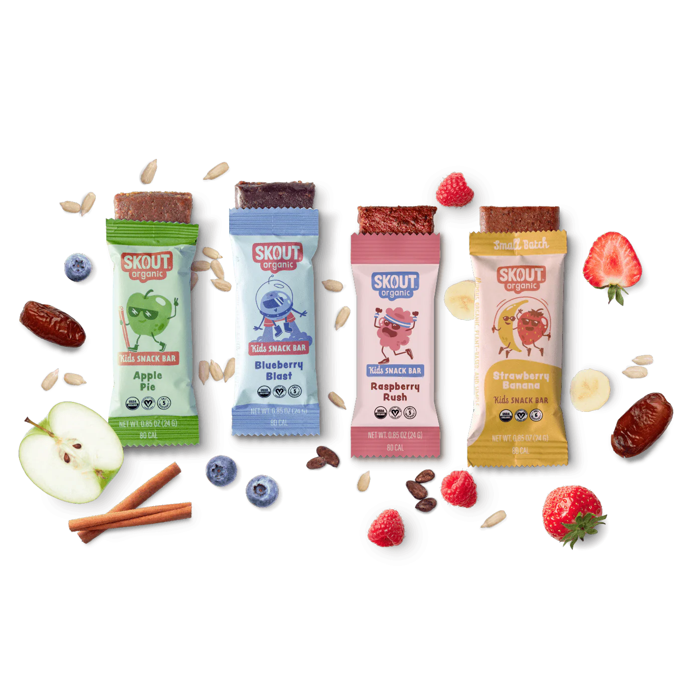 Skout Organic Small Batch Kids Fruit Bar Variety Pack