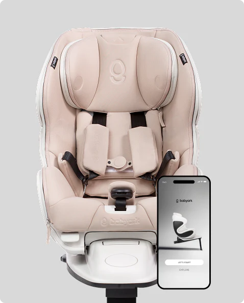 babyark Smart Convertible Car Seat