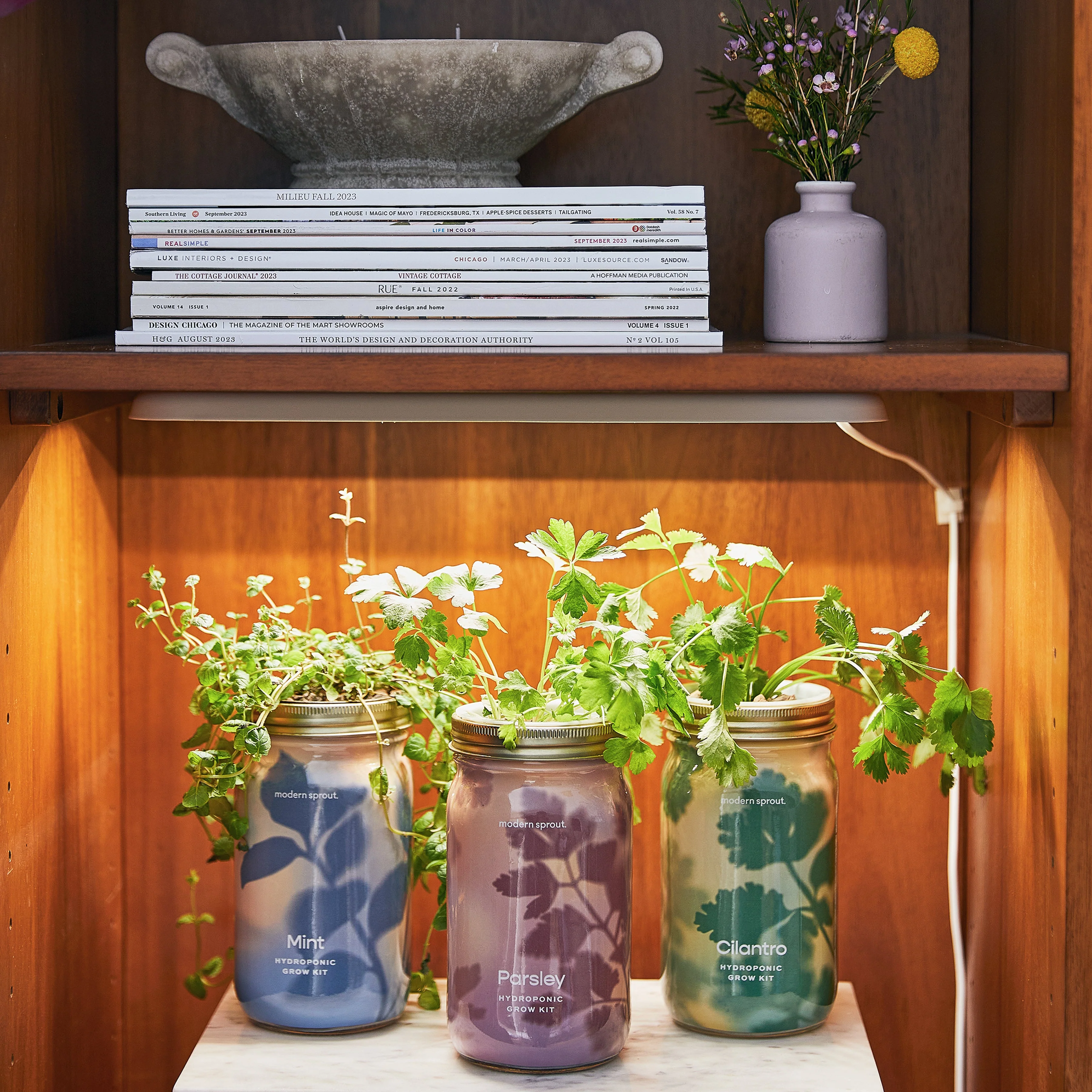 Modern Sprout Smart Growbar - Image 3