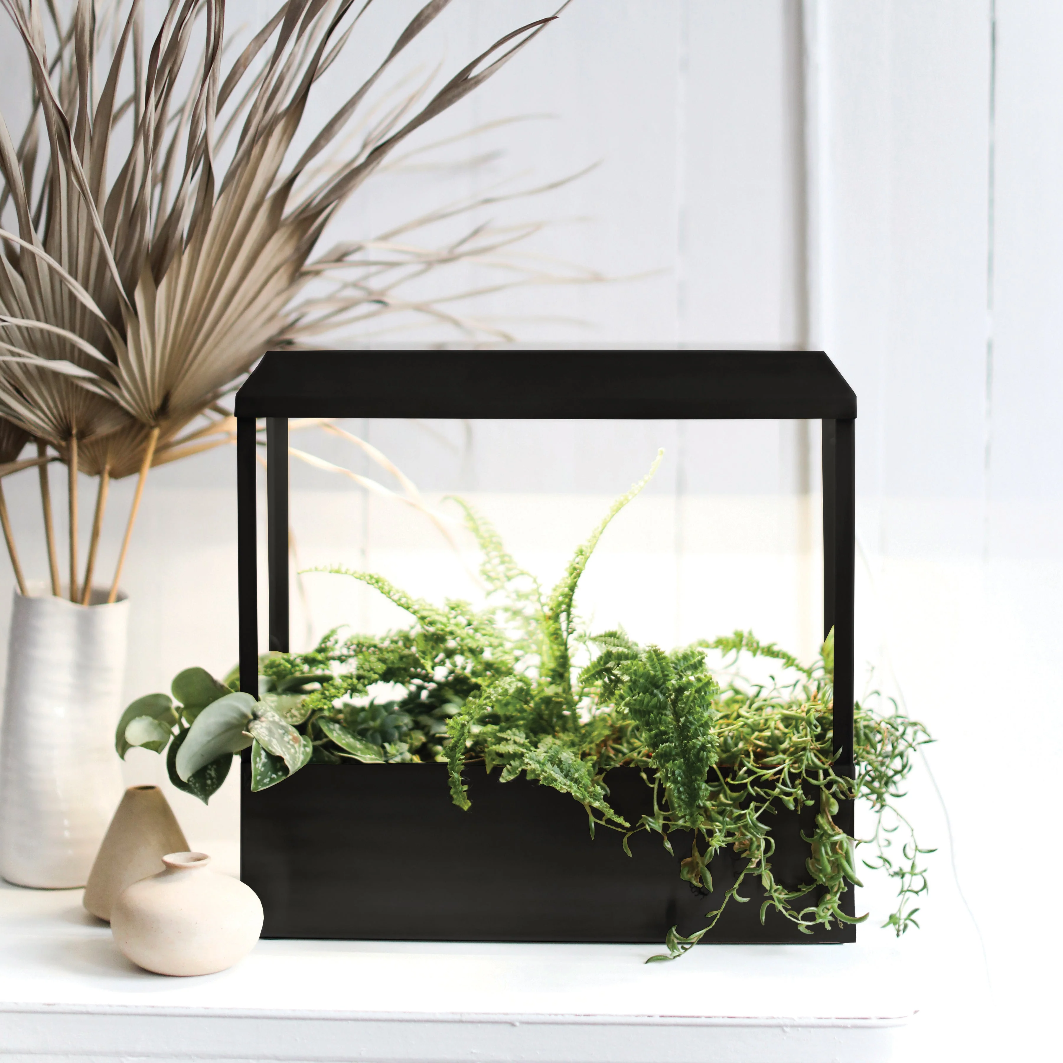Modern Sprout Smart Growhouse - Image 7