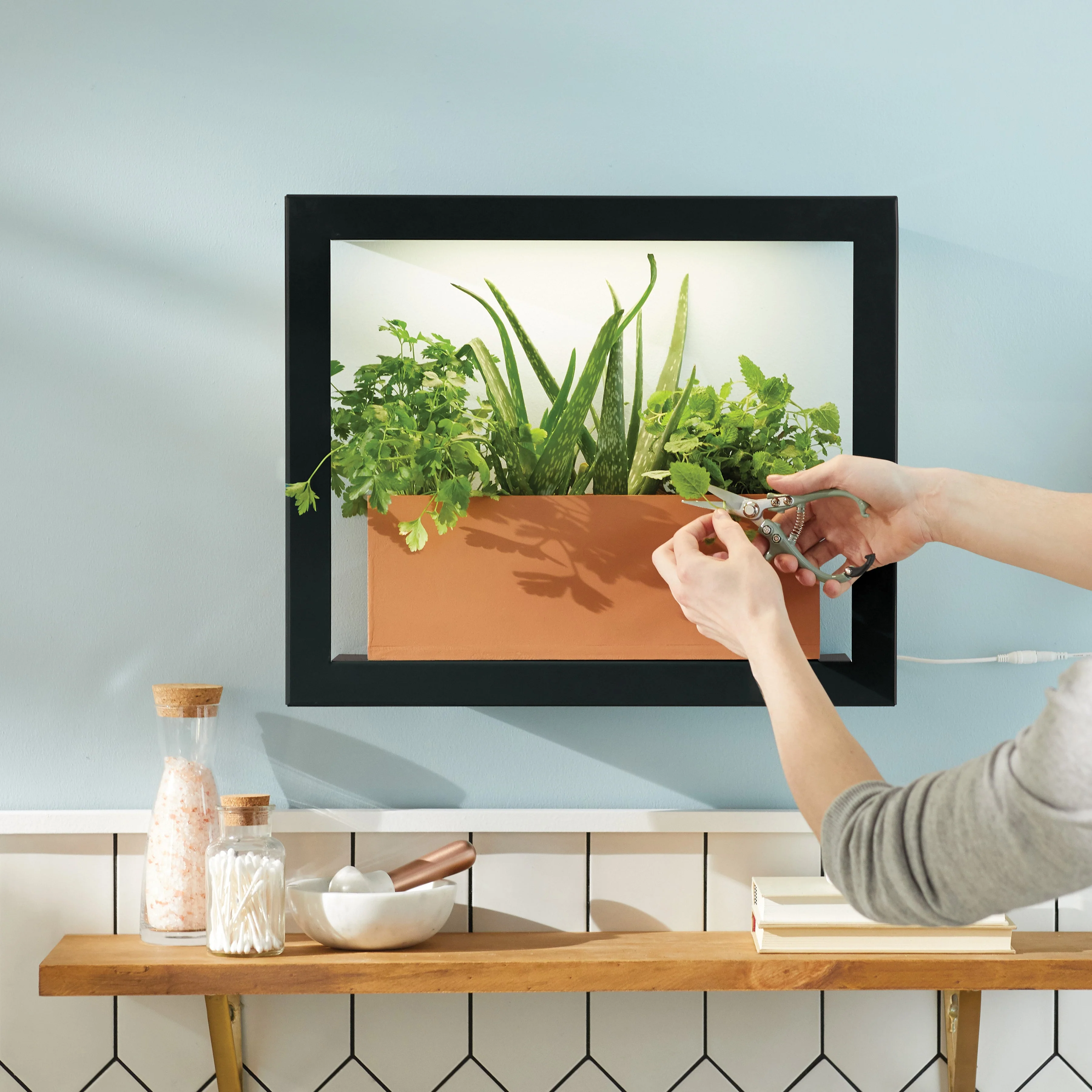Modern Sprout Smart Standard Growframe - Image 3
