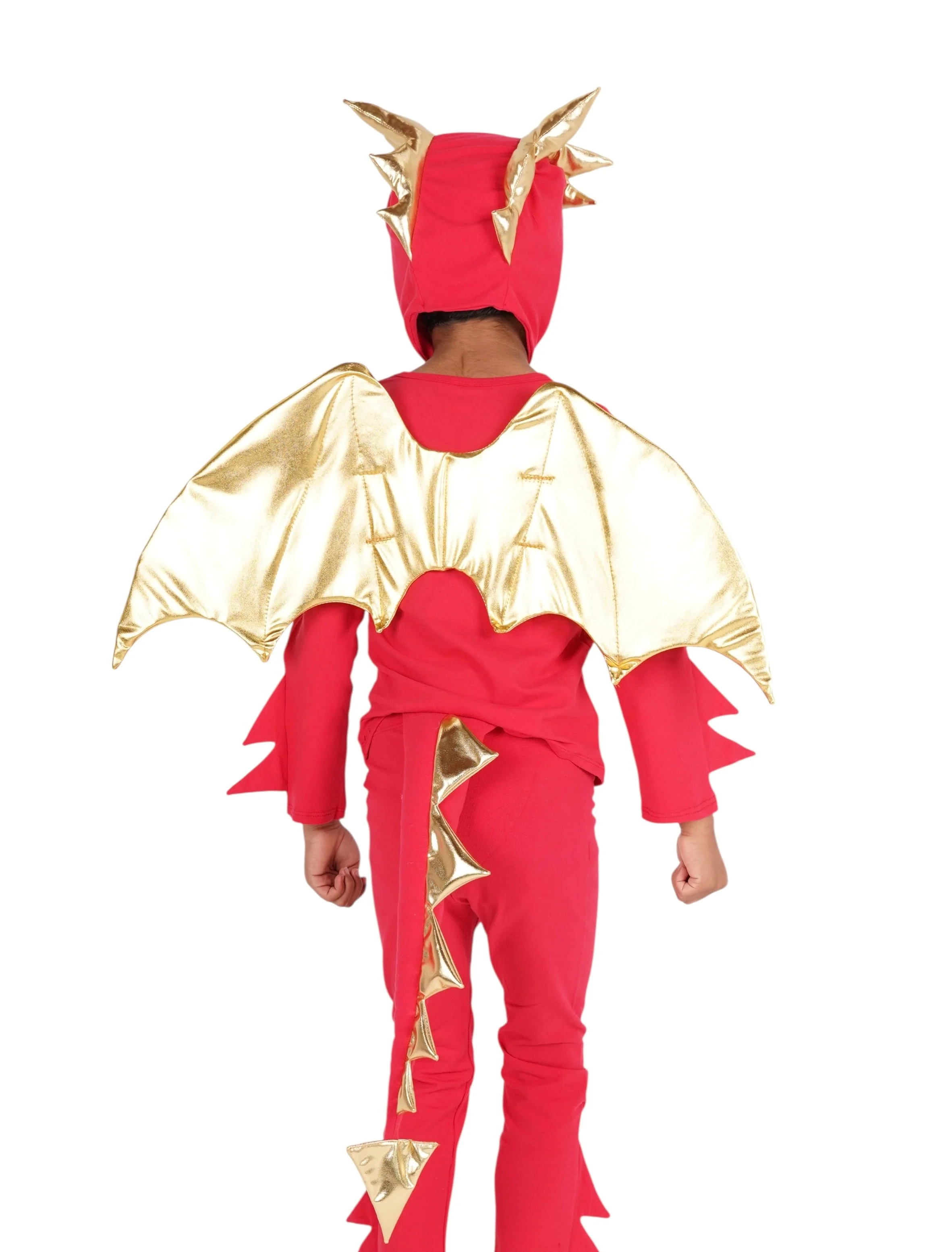 Band of the Wild Sunfire Red Dragon with Gold Wings - Image 5