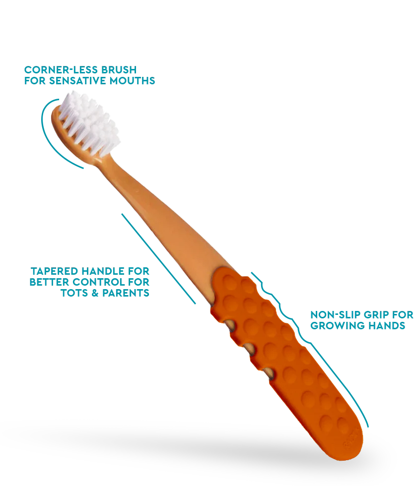 Radius Totz® Plus Brush (3 yrs+) - Image 12