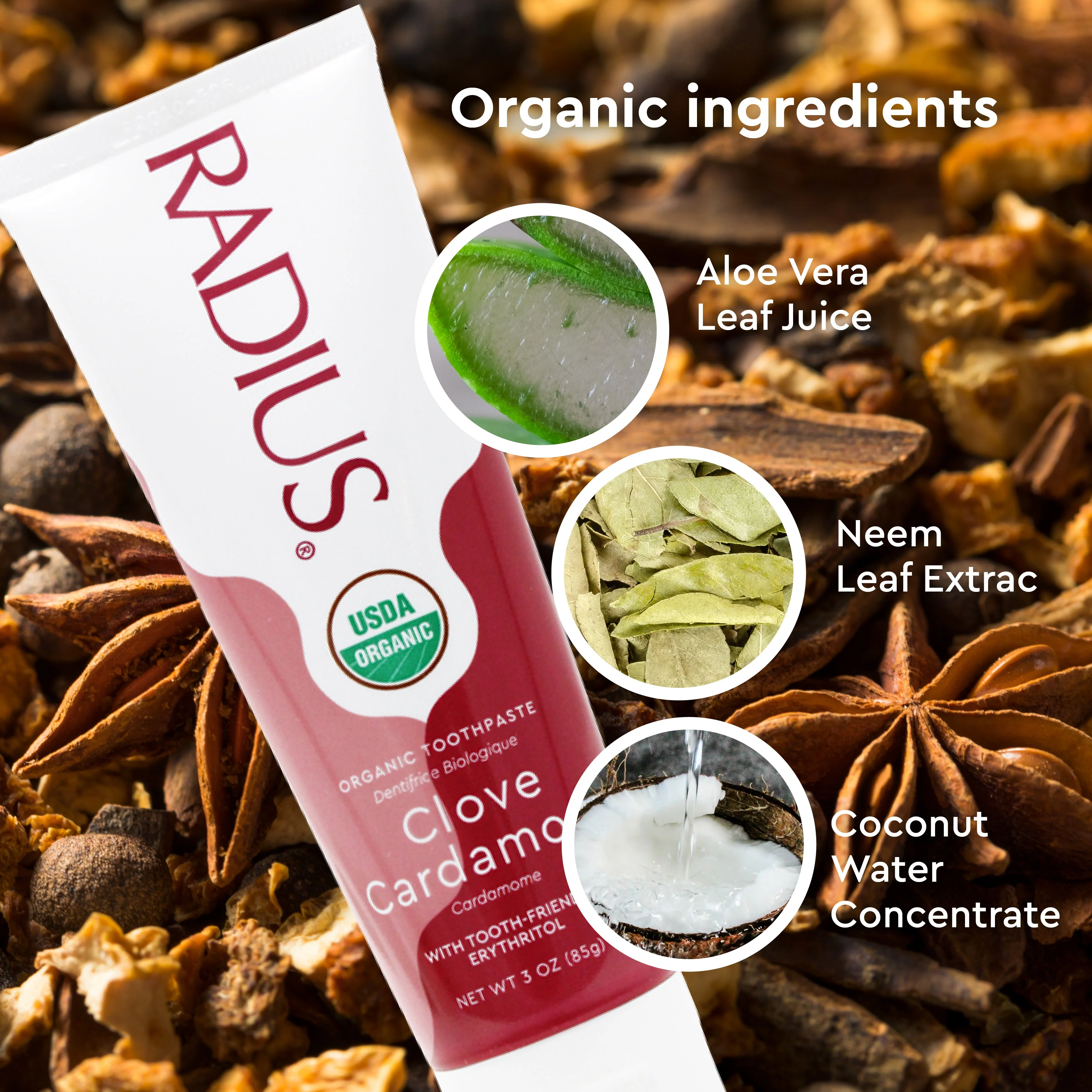 Radius USDA Organic Clove Cardamom Toothpaste - Image 3